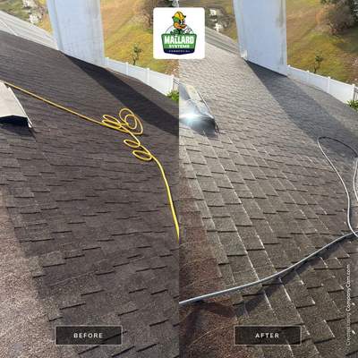 Shingle Roof Cleaning