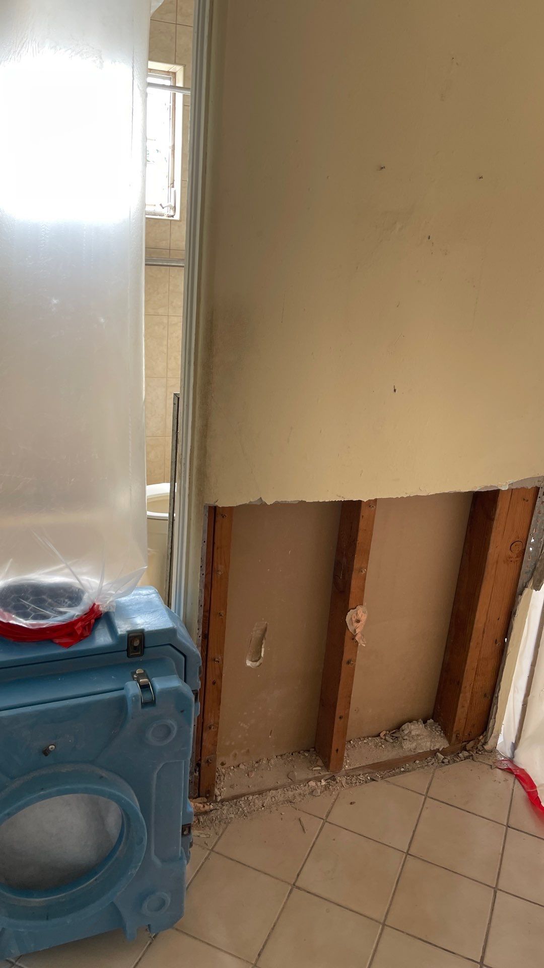 Mold Remediation  by THE RAPID TEAM