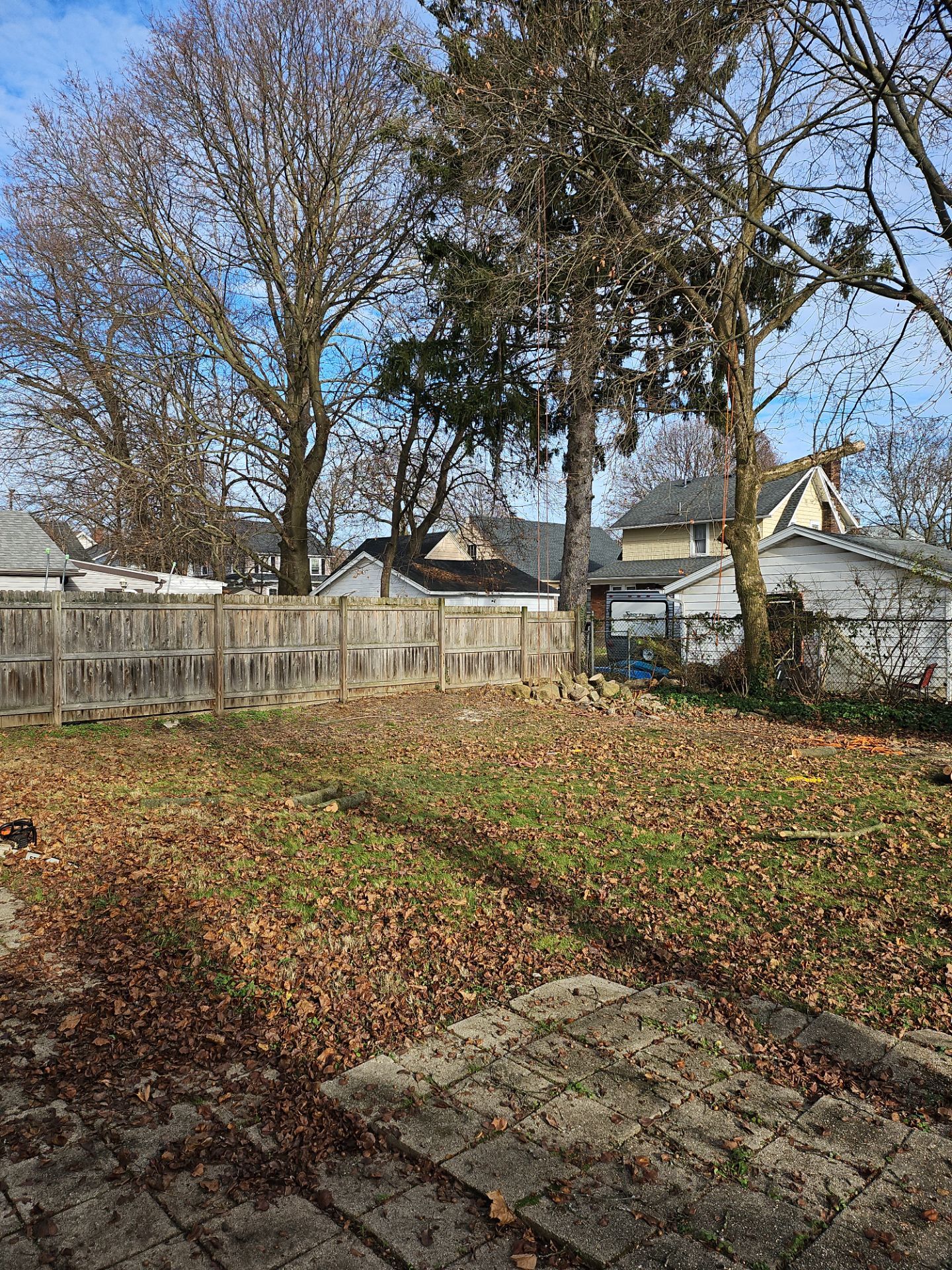 Tree Trimming using Tree Pruing by Mike Jones & Sons Tree Service LLC 