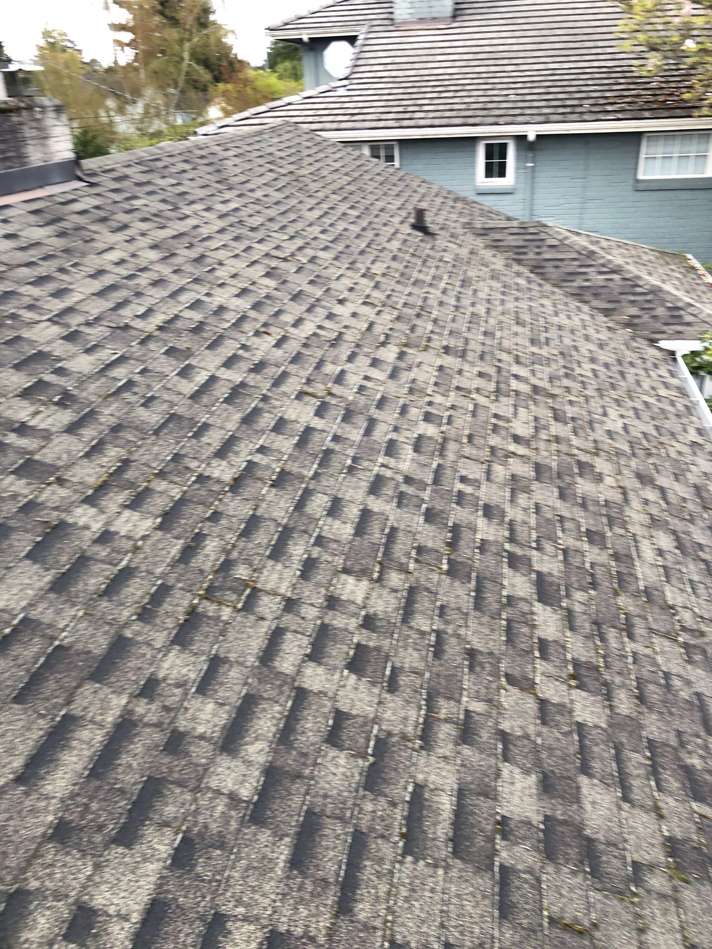 Project in Seattle by Peaks and Valleys Construction