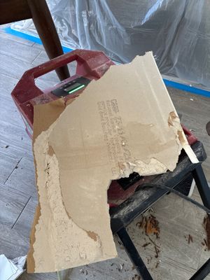 Mold Remediation — Bonita Springs, FL