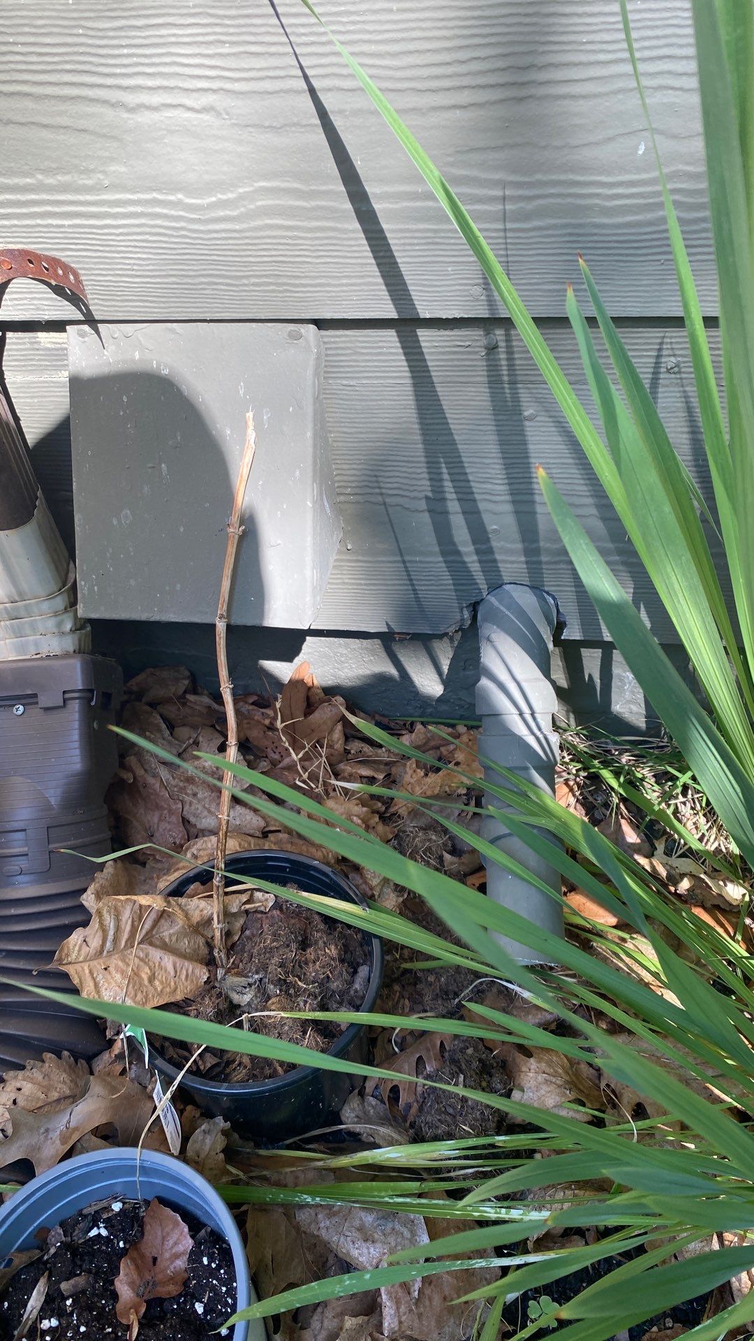 Reston: Residential Siding Replacement with James Hardie Statement Beaded Plank in Cappuccino Muffin by RM Banning, Inc.