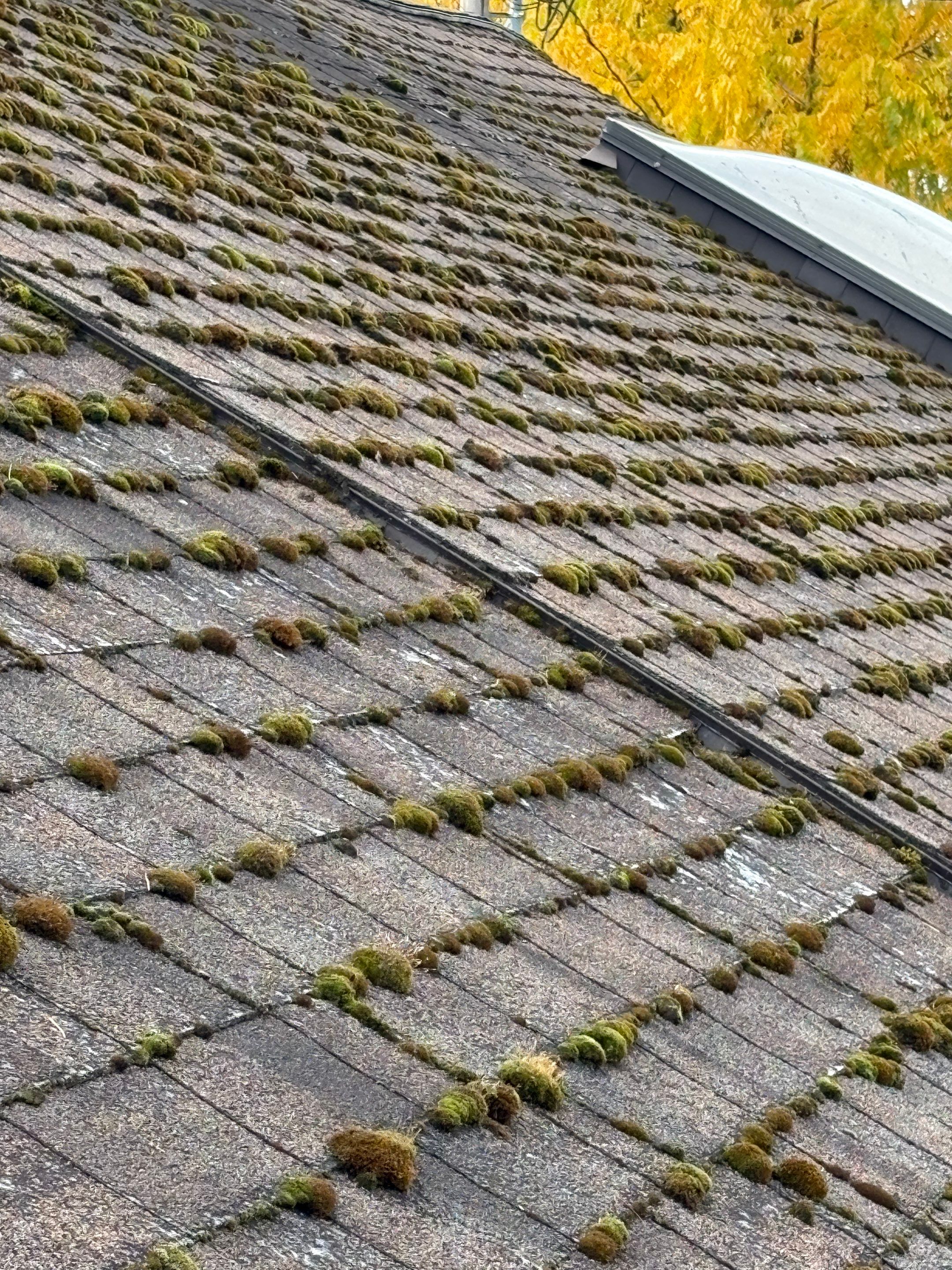 Reroof, Gutters, and Repair by Hawthorne General Construction