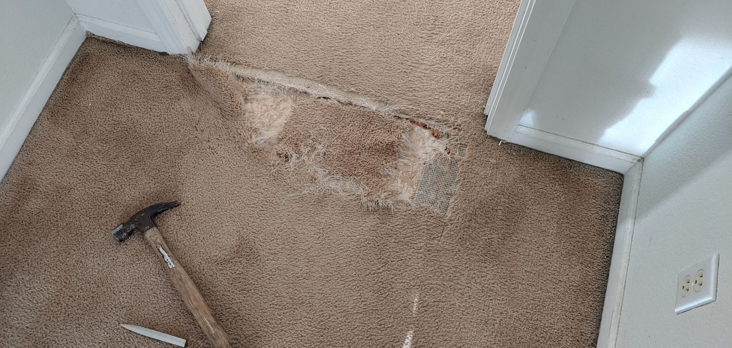 Repairing Carpet Damaged by Pets by Ardent Carpet Restore LLC