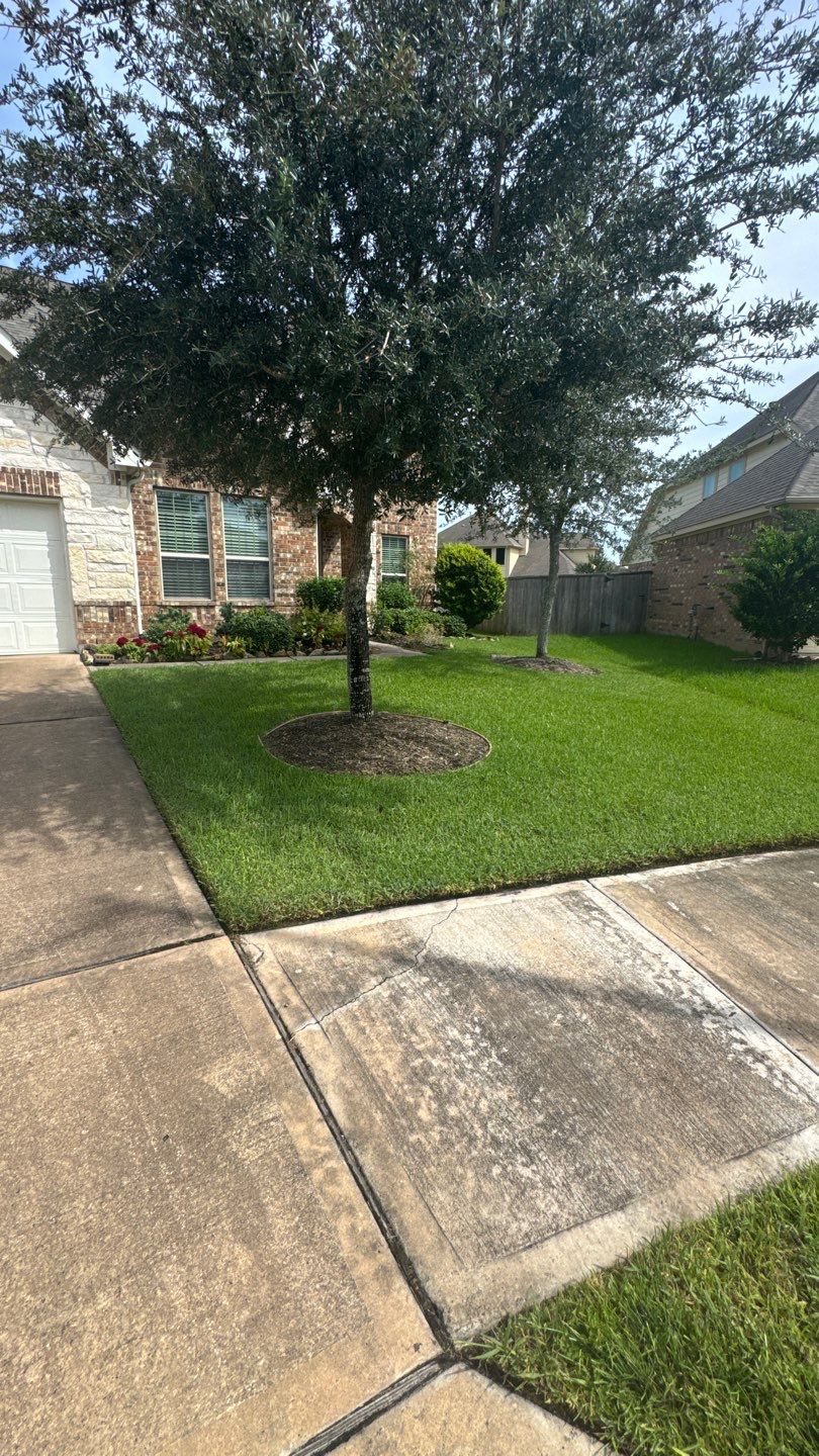 🌿 Mr. Ken’s Front Yard Flower Bed Enhancement by Texas Urban Elements