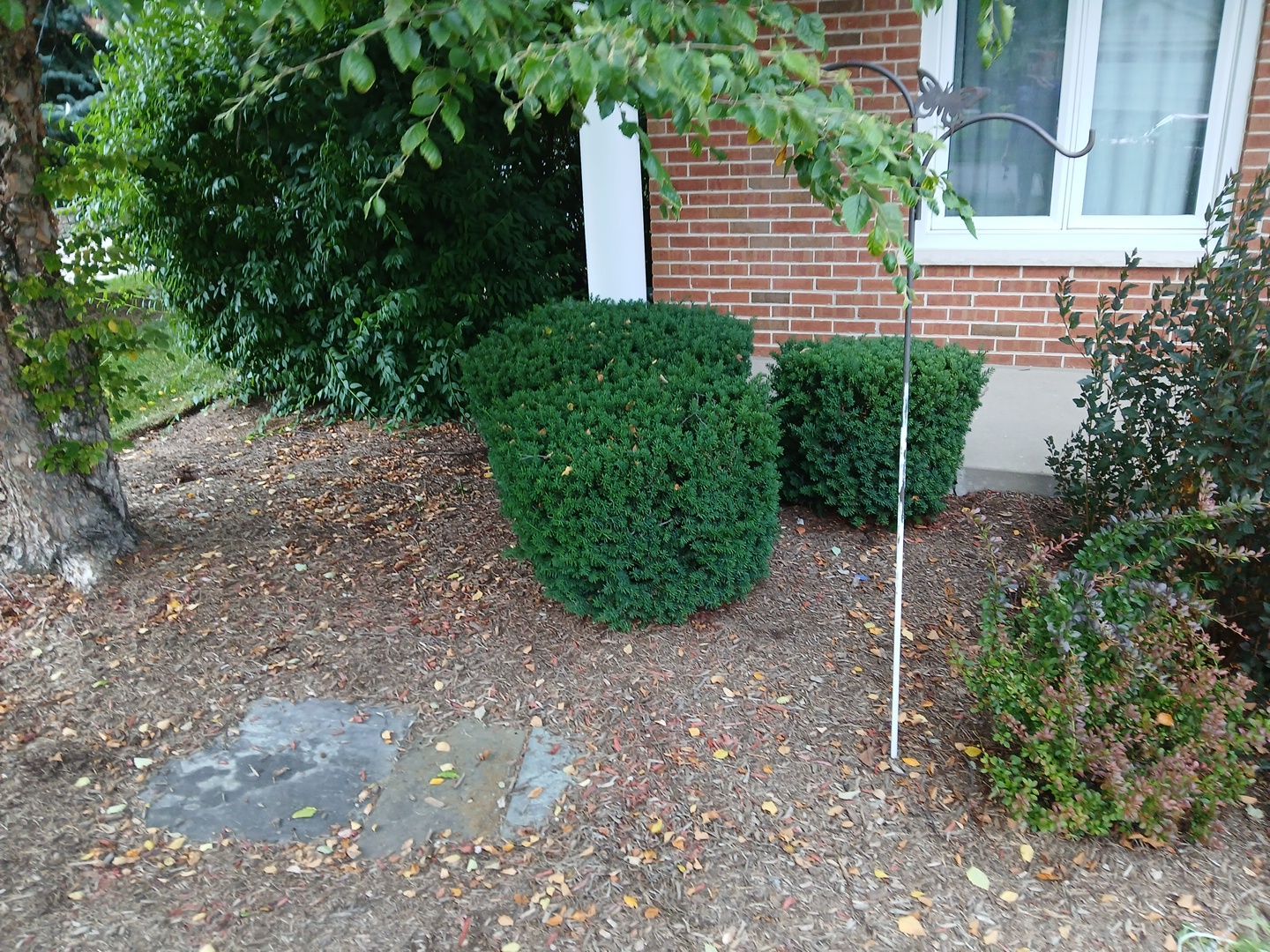 Michael I. - Glenview, IL by A&N 