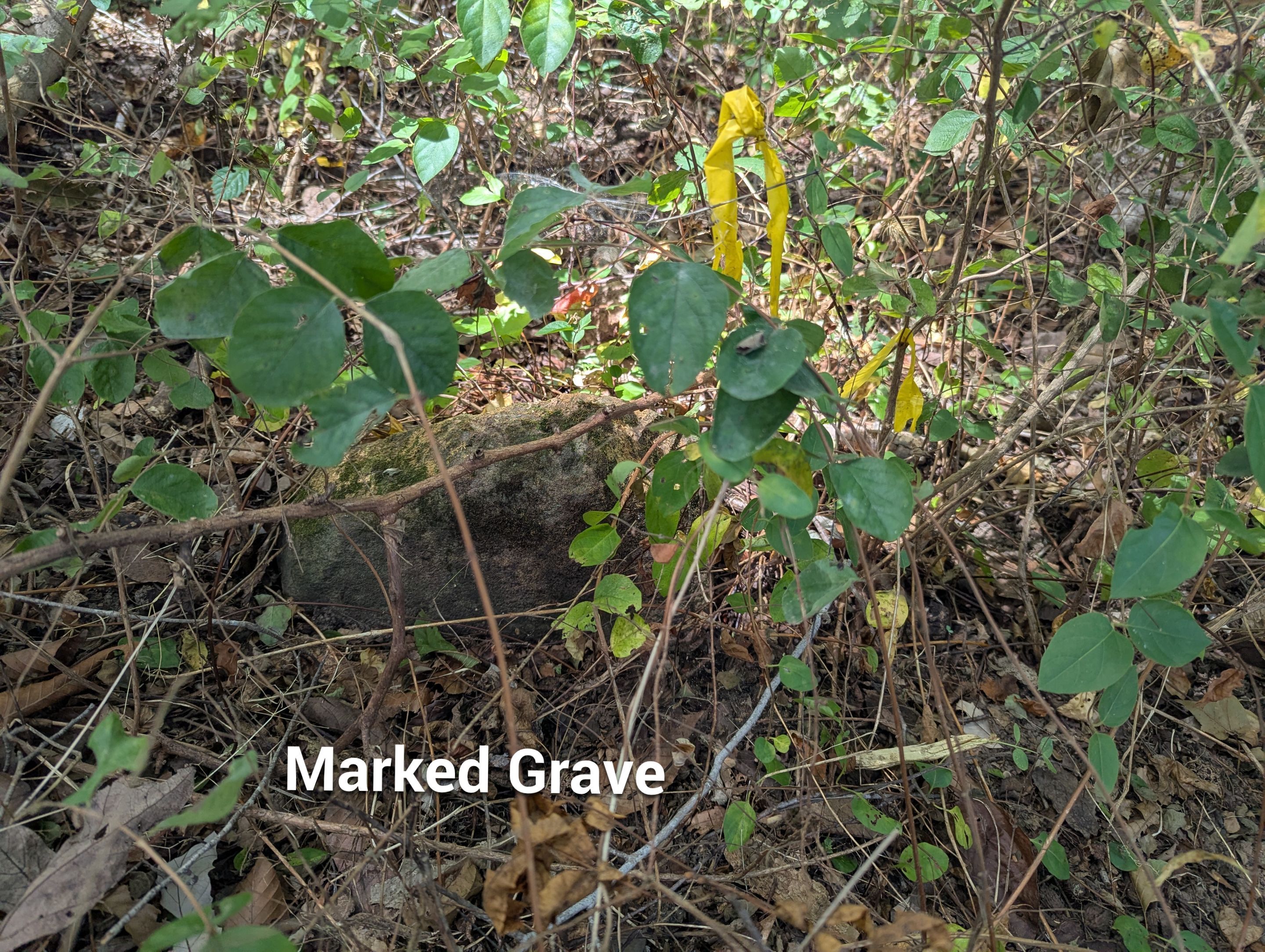 Unmarked Grave Scan by Alsip Locating Service, LLC