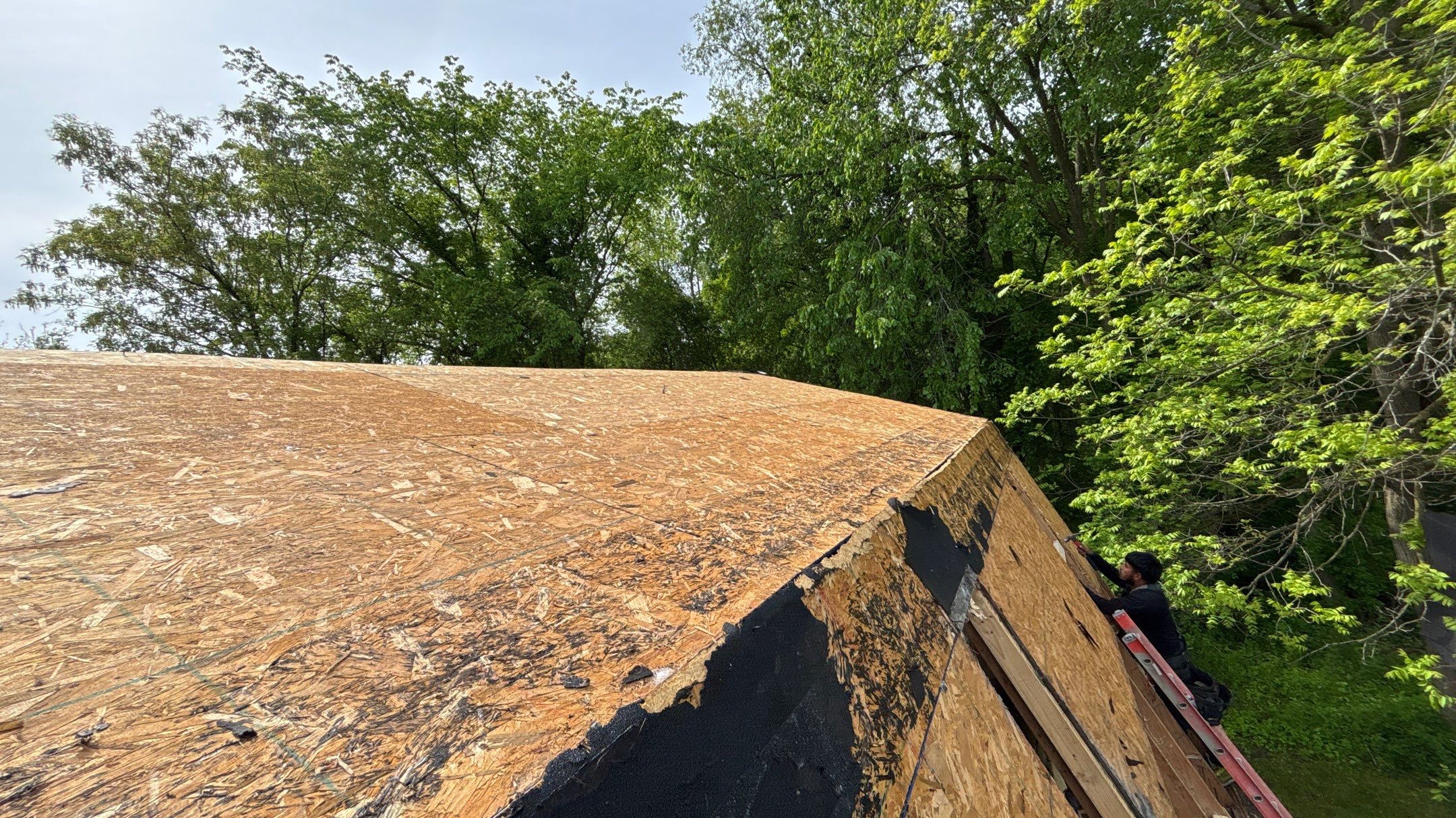 Roof Replacement using Atlas Pinnacle Pristine Pewter by 180 Contractors