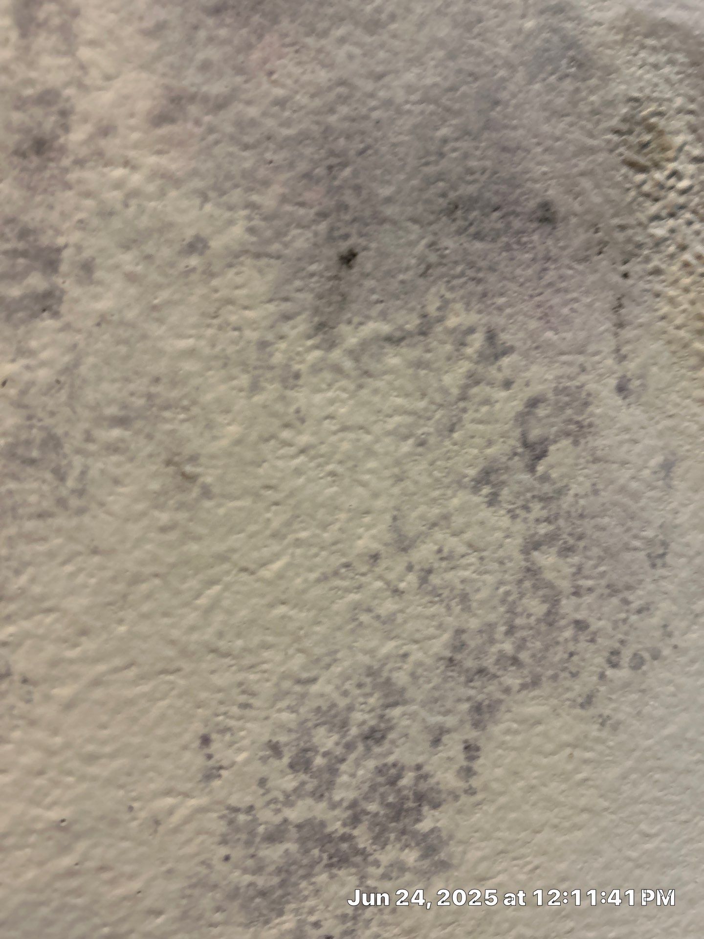 Water Damage Restoration In Sarasota by Ampm Restoration Services