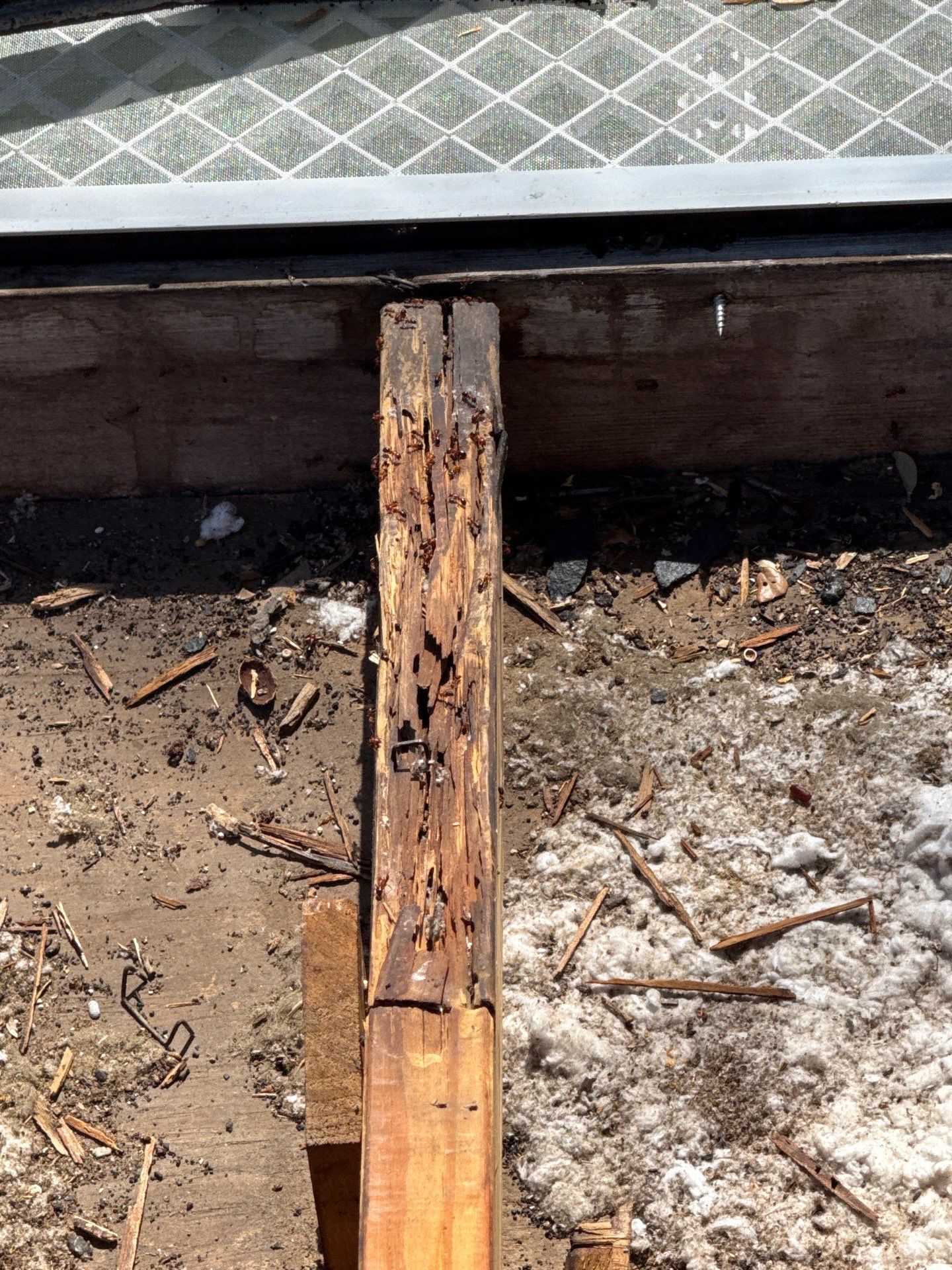 Project in The Colony by Rhino Roofing and General Contracting, LLC
