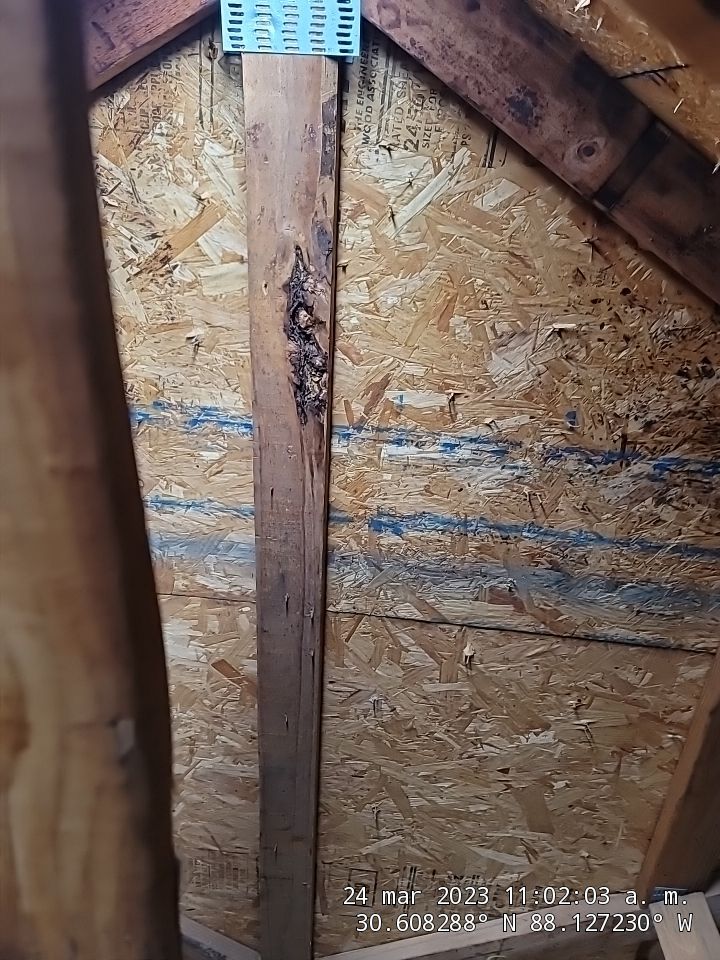 Fortified Roof by American Roofing & Construction LLC
