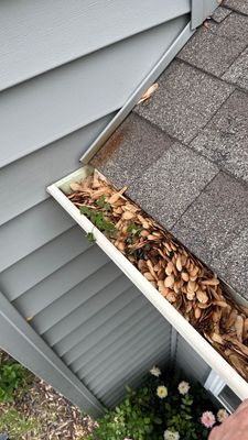 Turtle Shell gutter protection installation in Aurora, IL 60506, photograph 4