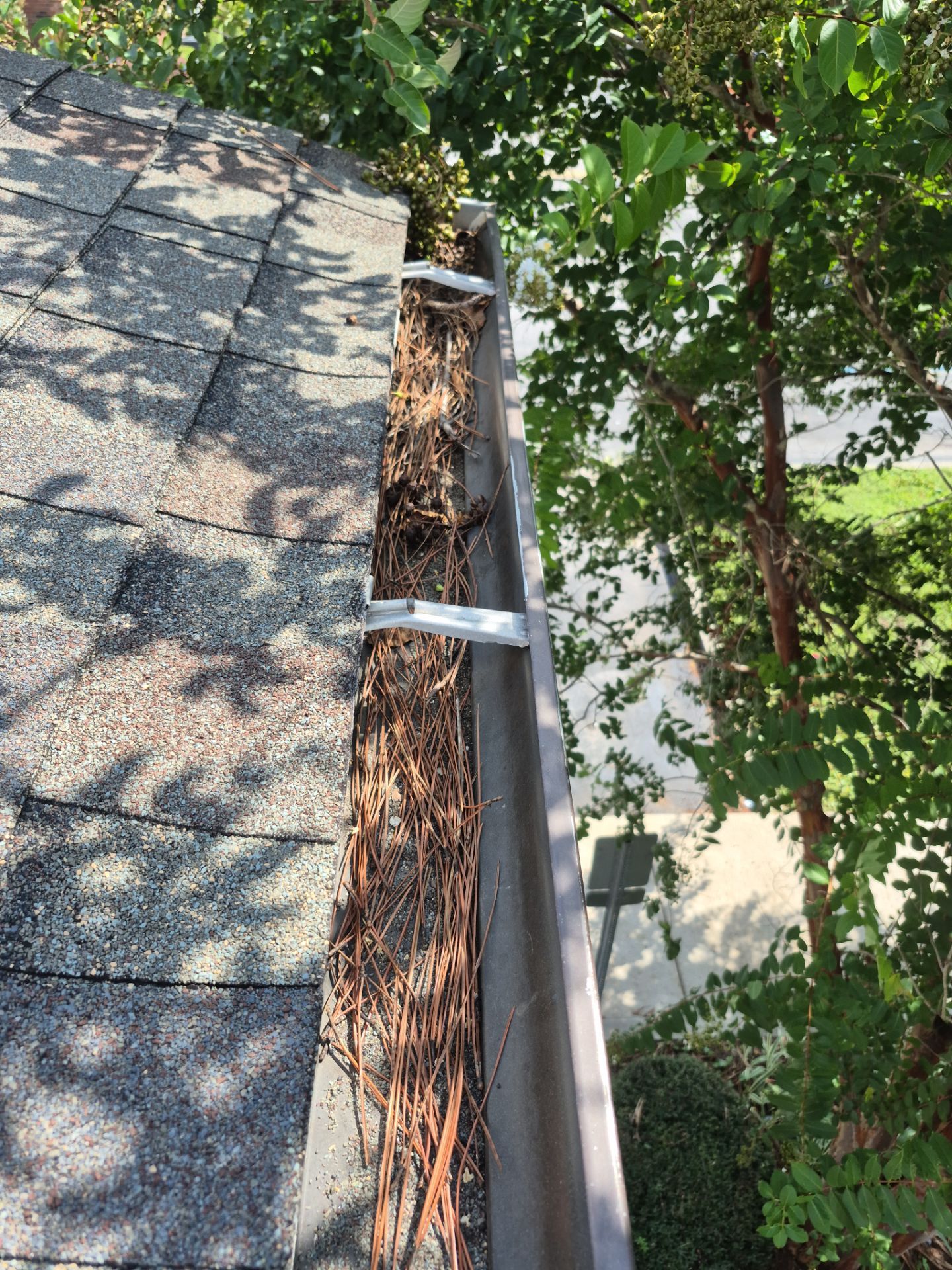 Commercial gutter cleaning Panama City, FL before photo with filled gutters