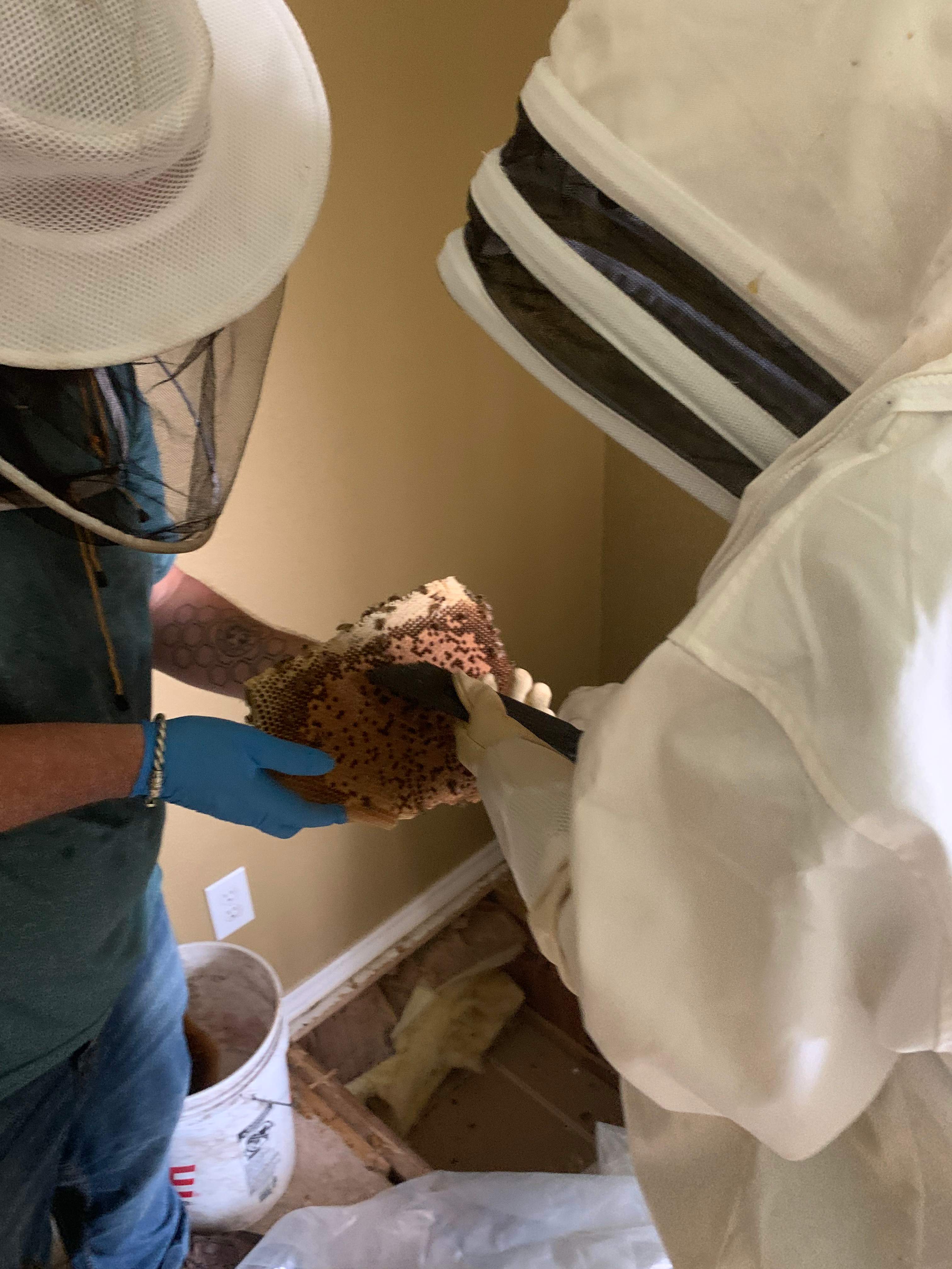 Beekeepers-to-be by Rockwall Honey Bee Company