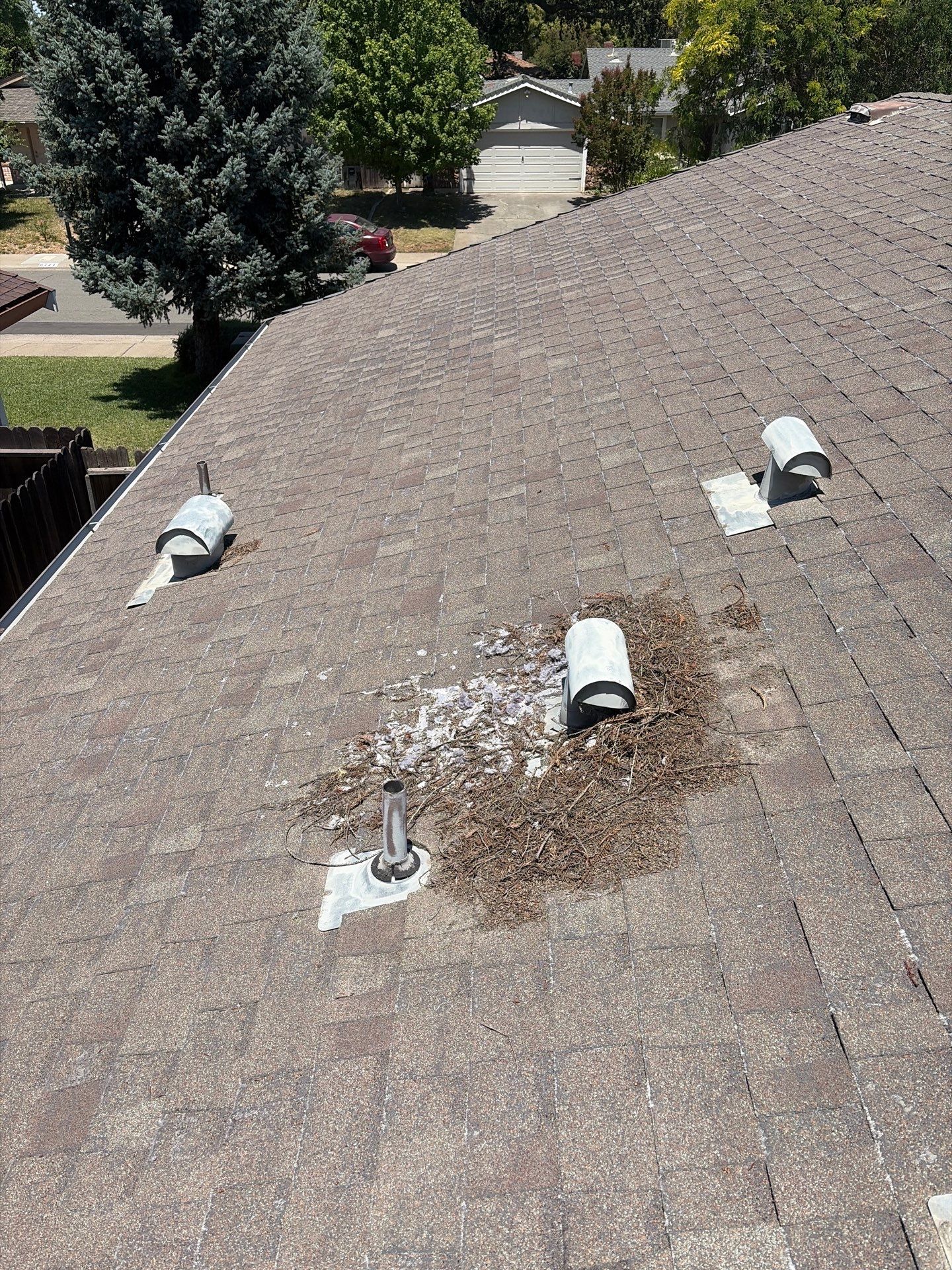 Roof Rejuvenation using Roof Maxx Treatment by Roof Maxx of Folsom