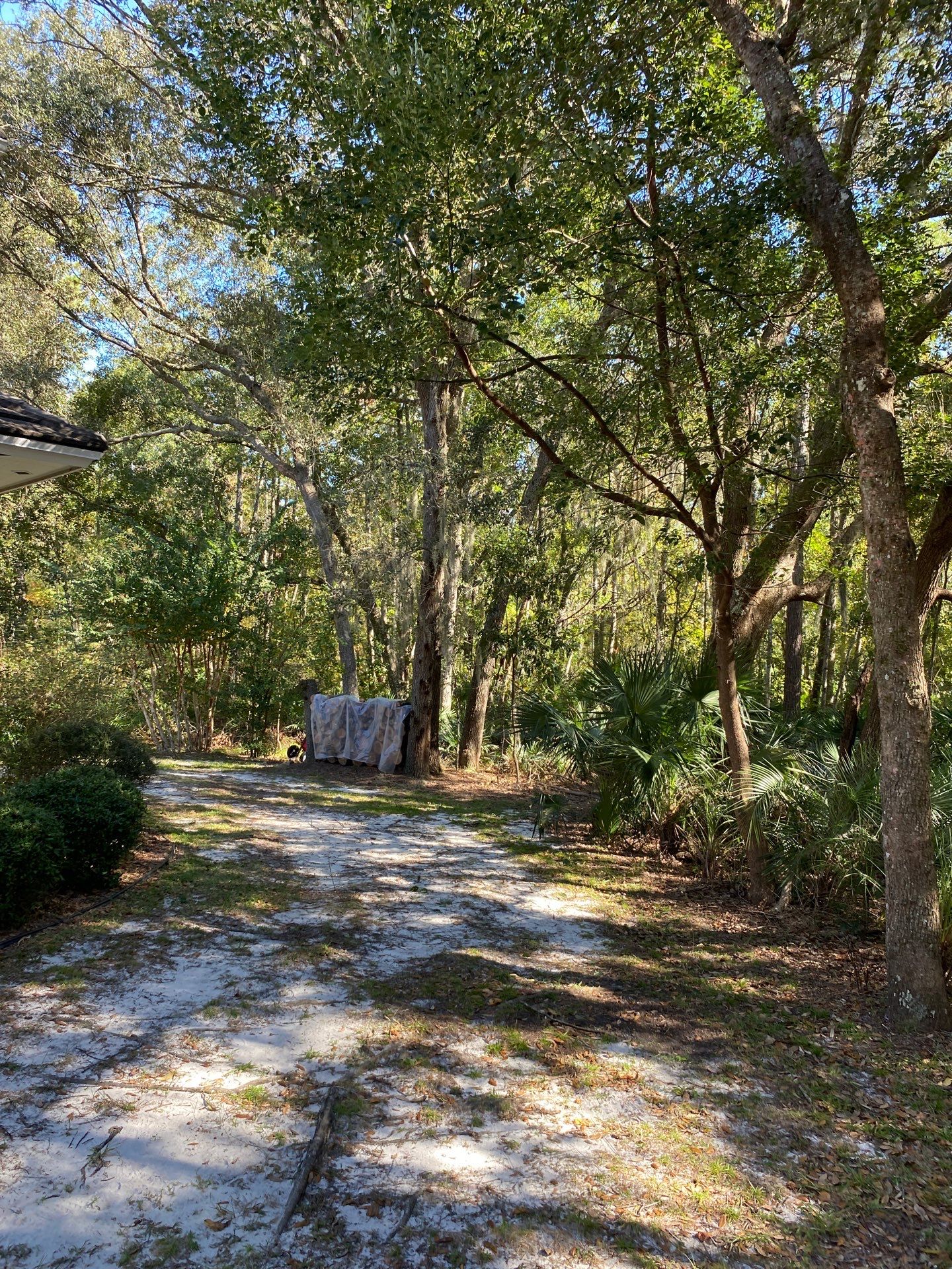 Deerwood Residence | Tree Work by ProGreen Services