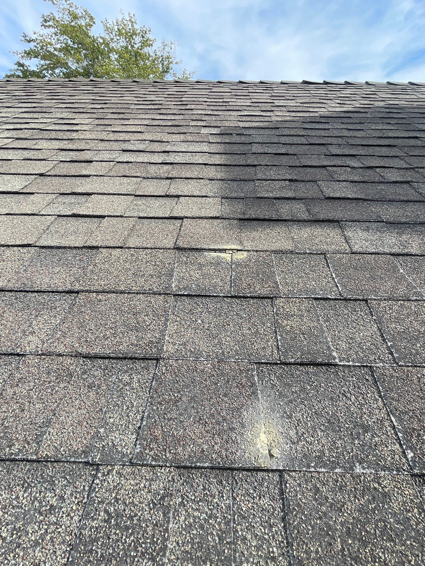 Roof Rejuvenation using Roof Maxx Treatment by Roof Maxx of Folsom