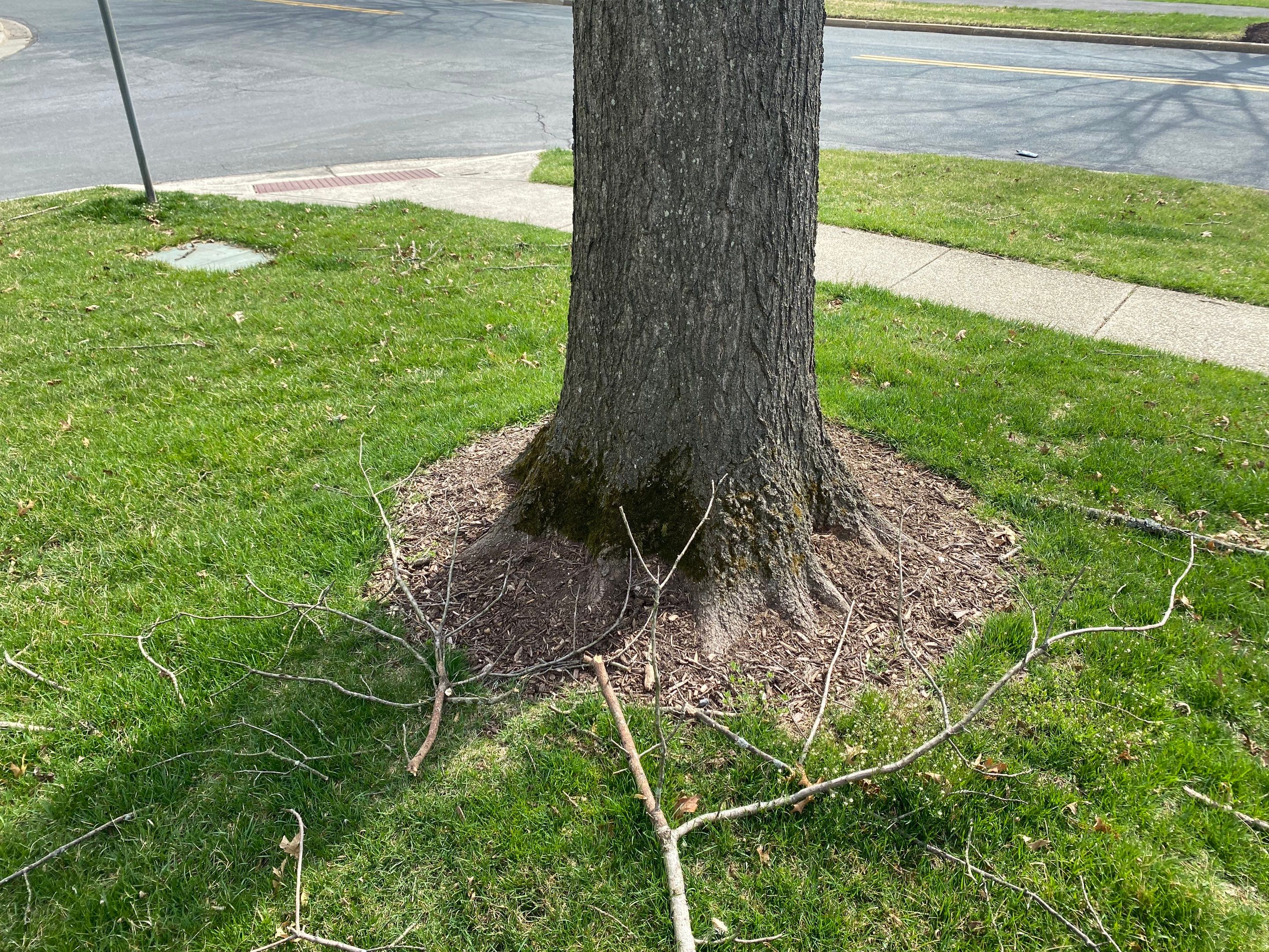 Landscape Design and Cleanup by The Smet Companies, LLC