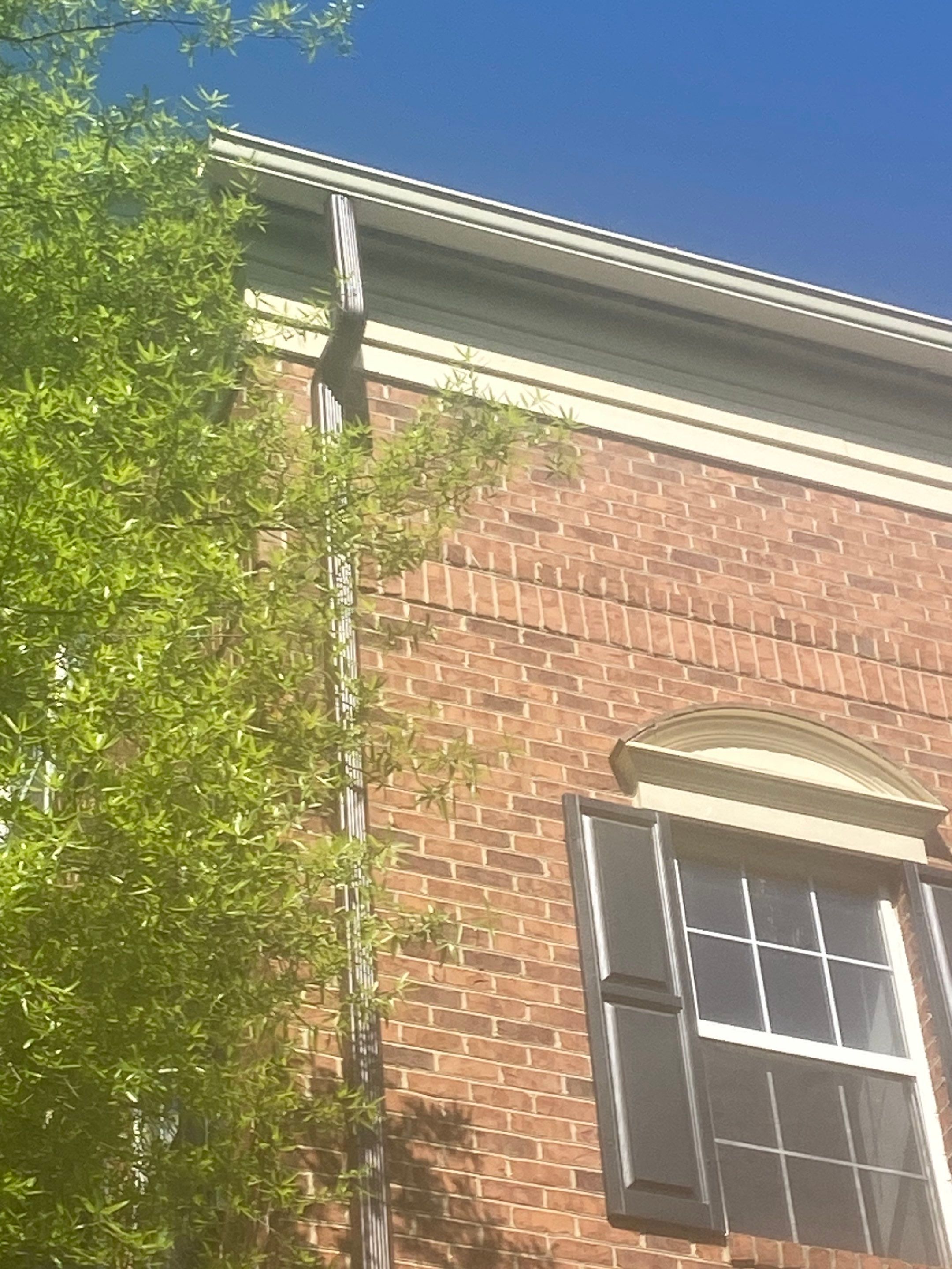 Alexandria: CertainTeed Landmark Pro Designer Shingles in Max Def Georgetown Gray by RM Banning, Inc.