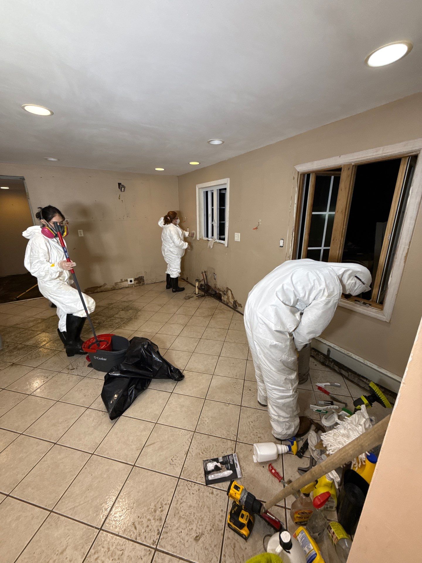 Biohazard Hoarding Cleanup / Animal Feces & Urine Remediation in Preston by Sadie’s Pro Cleaning