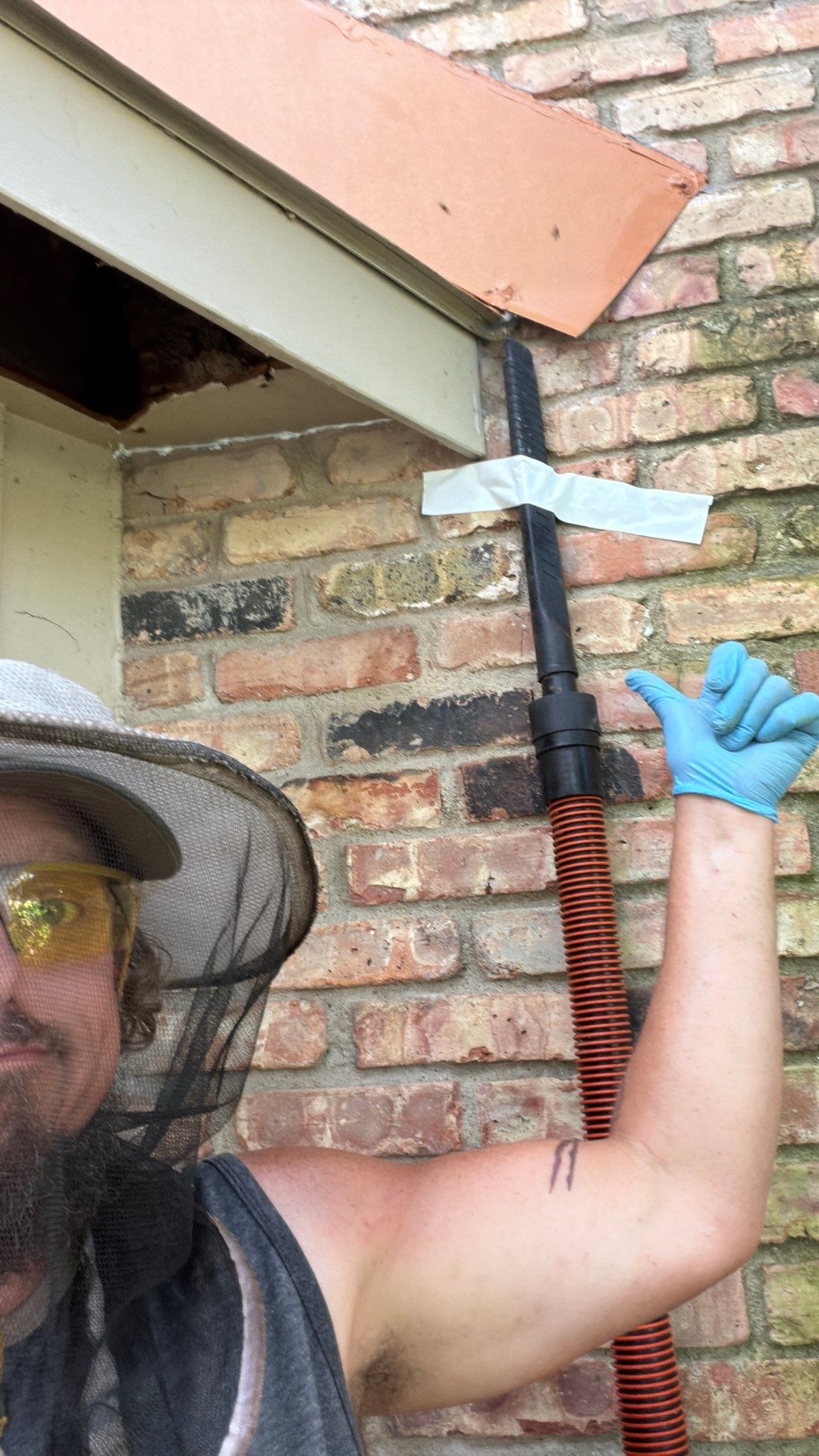 Why hire a professional? by Rockwall Honey Bee Company