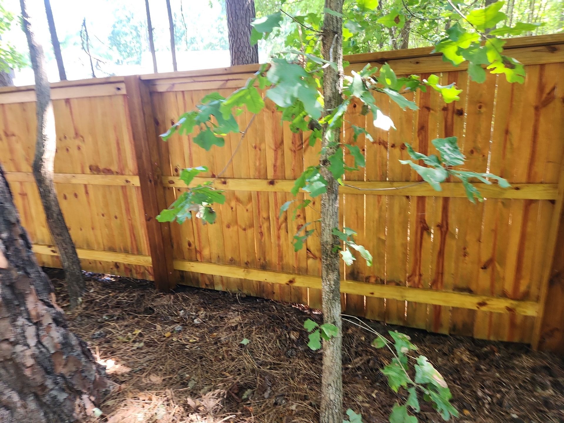 Fence using Wood Sealant by DuraSeal