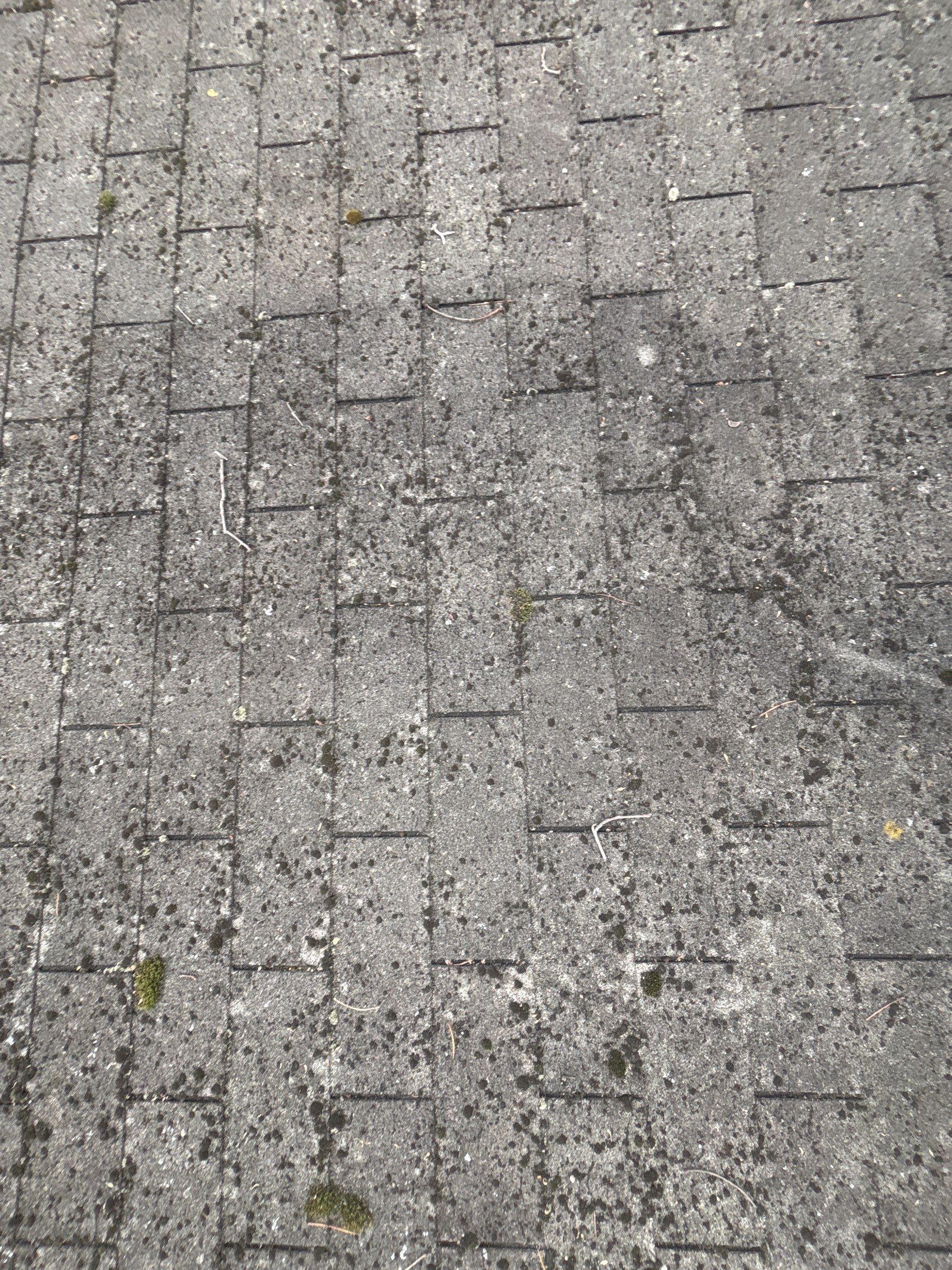 Roof Replacement using Owens Corning Teak by 180 Contractors