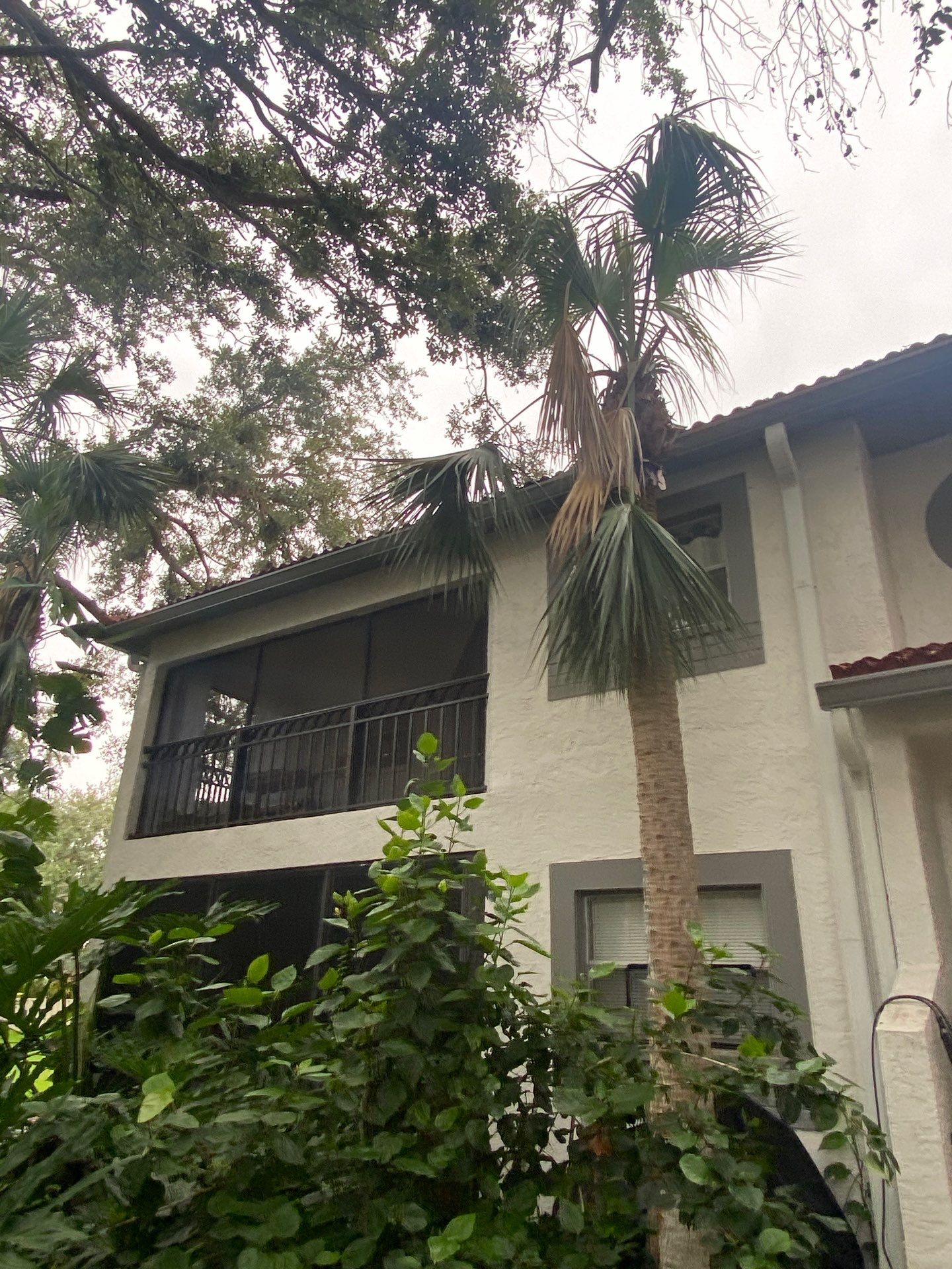 Custom Residential Gutter Guard System Installation in Saint Petersburg FL by Gutter Professors