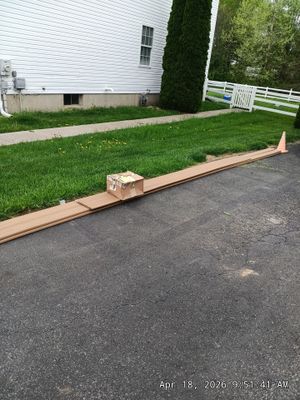 Project in Bear