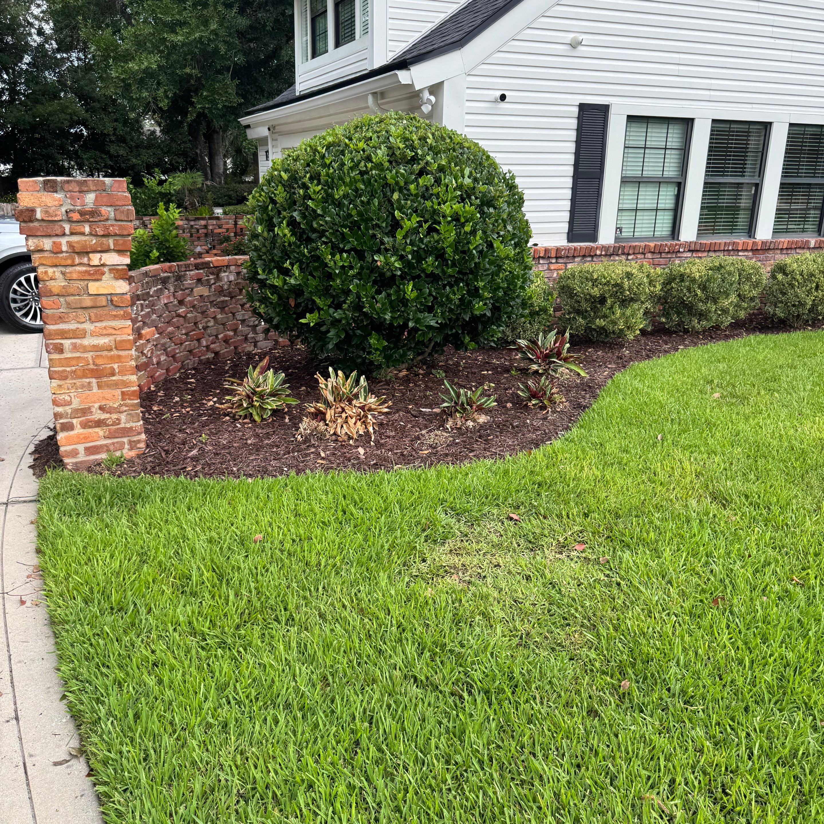 Deerwood Resident | Sod & Plant Installation by ProGreen Services