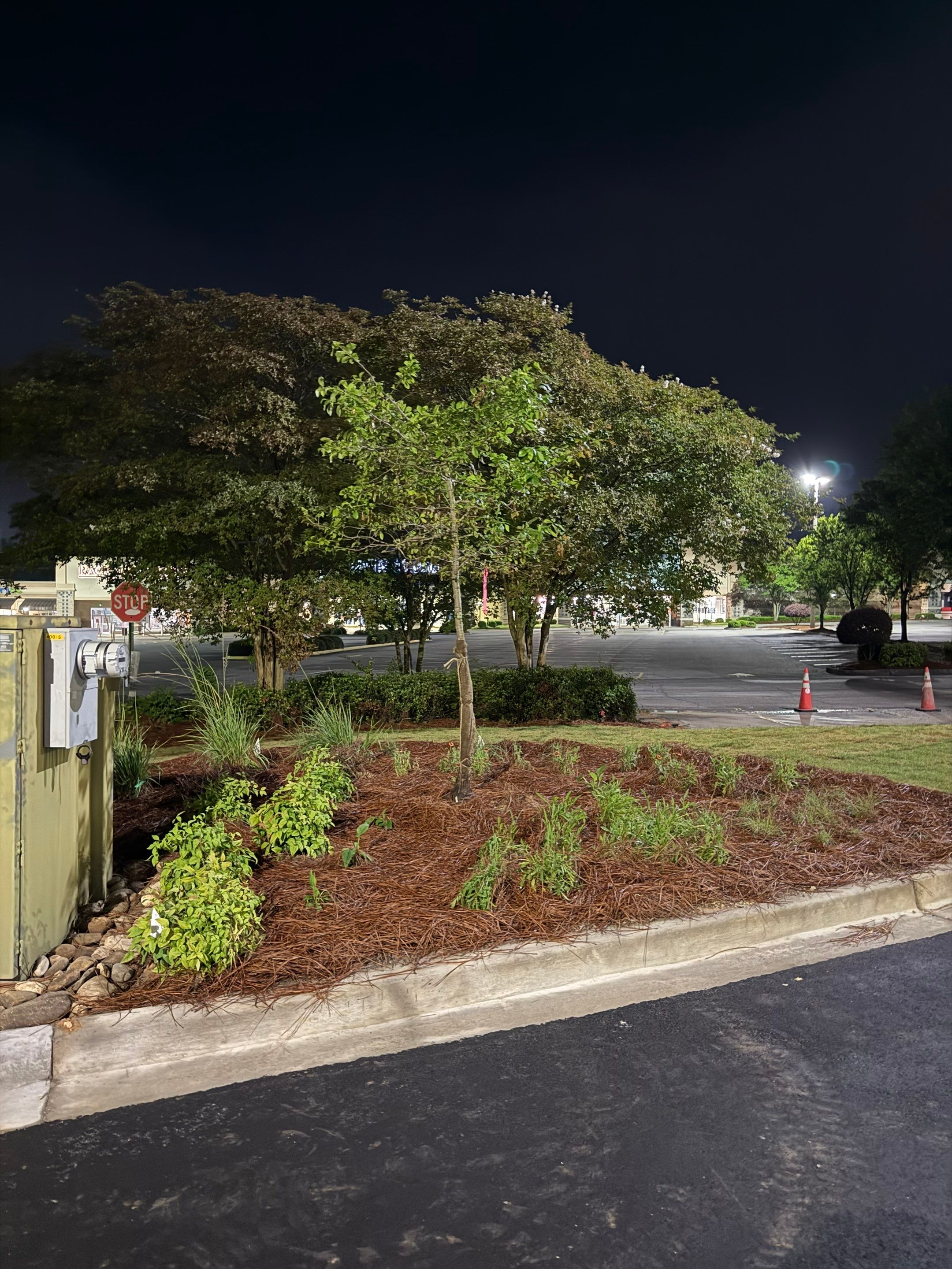 FTB Haribson Bank Project Columbia SC - (Commercial) by Carolina-Metro Landscape, Inc