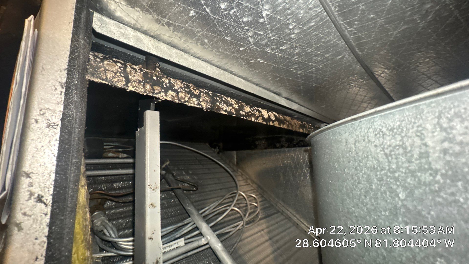 Air Duct Cleaning in Groveland by Hygienic Air, Inc
