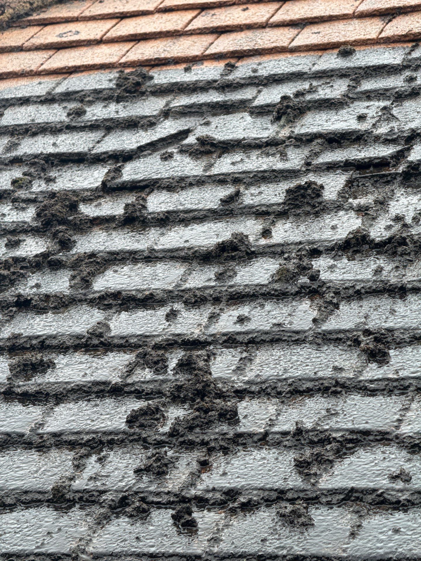 Commercial Roof Clean -Block Of Flats using Honda 15lpm Low Pressure Washing Machine by Ges Exterior Cleaning ltd