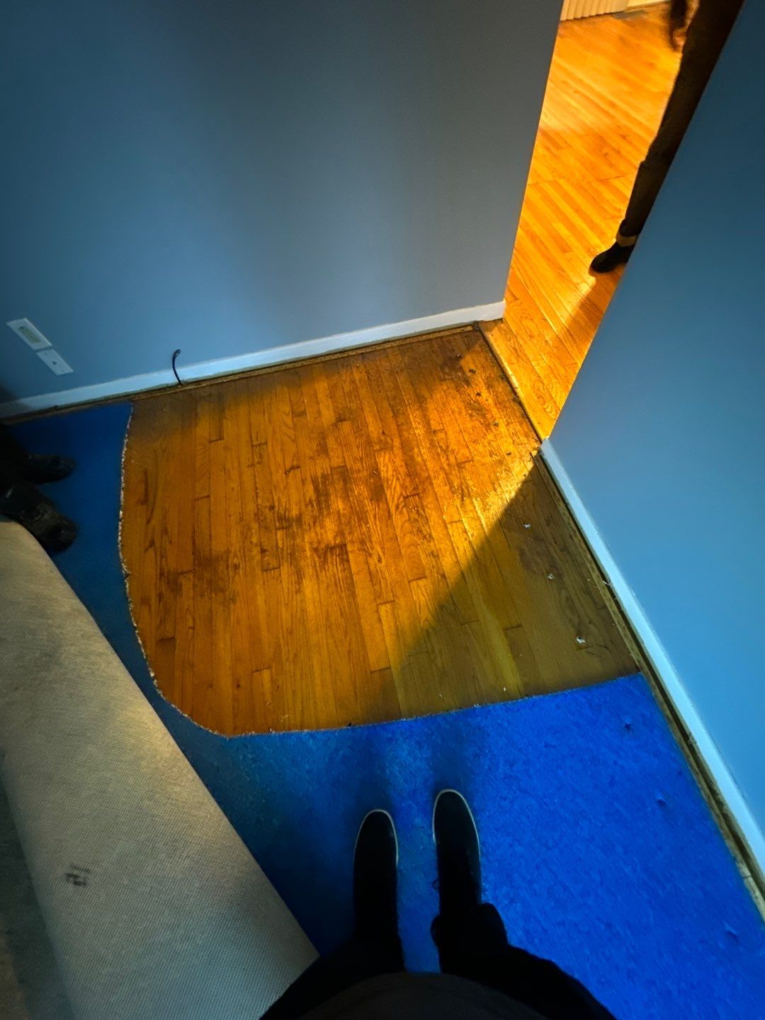 Project in Dearborn by EzDry Water Mitigation & Property Restoration