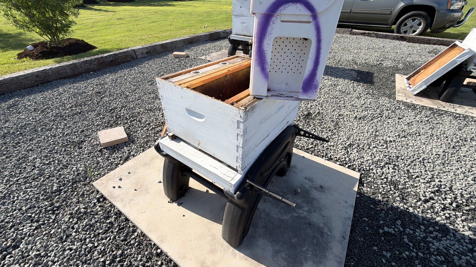 Momma K’s apiary by Rockwall Honey Bee Company