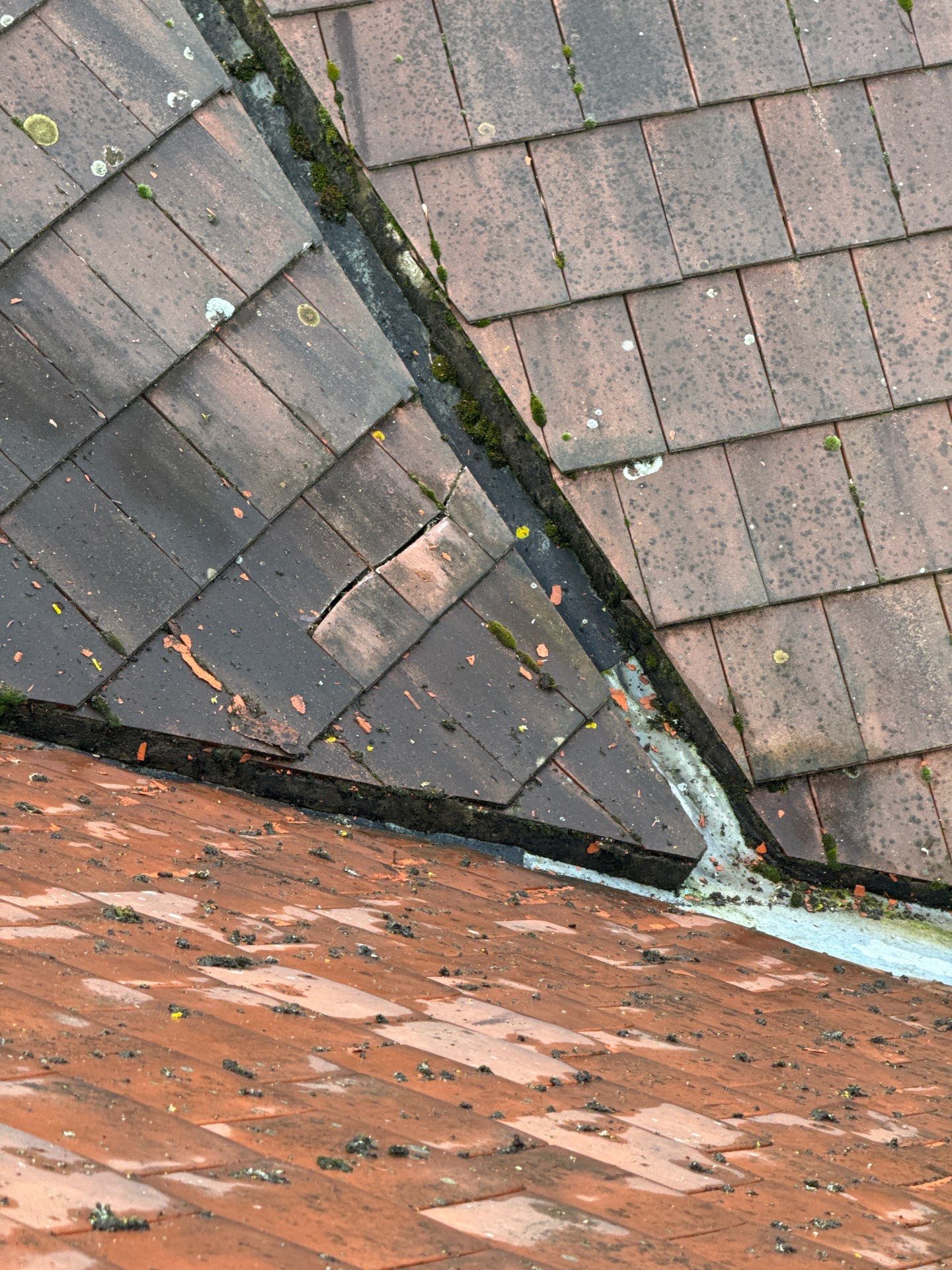 Large Care Home Roof Clean using Mosmatic FSC and Biocide by Ges Exterior Cleaning ltd