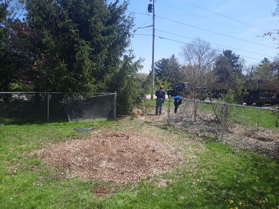 Tree Removal using Tree Removal by Mike Jones & Sons Tree Service LLC 