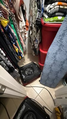 Mold Remediation — Naples, FL