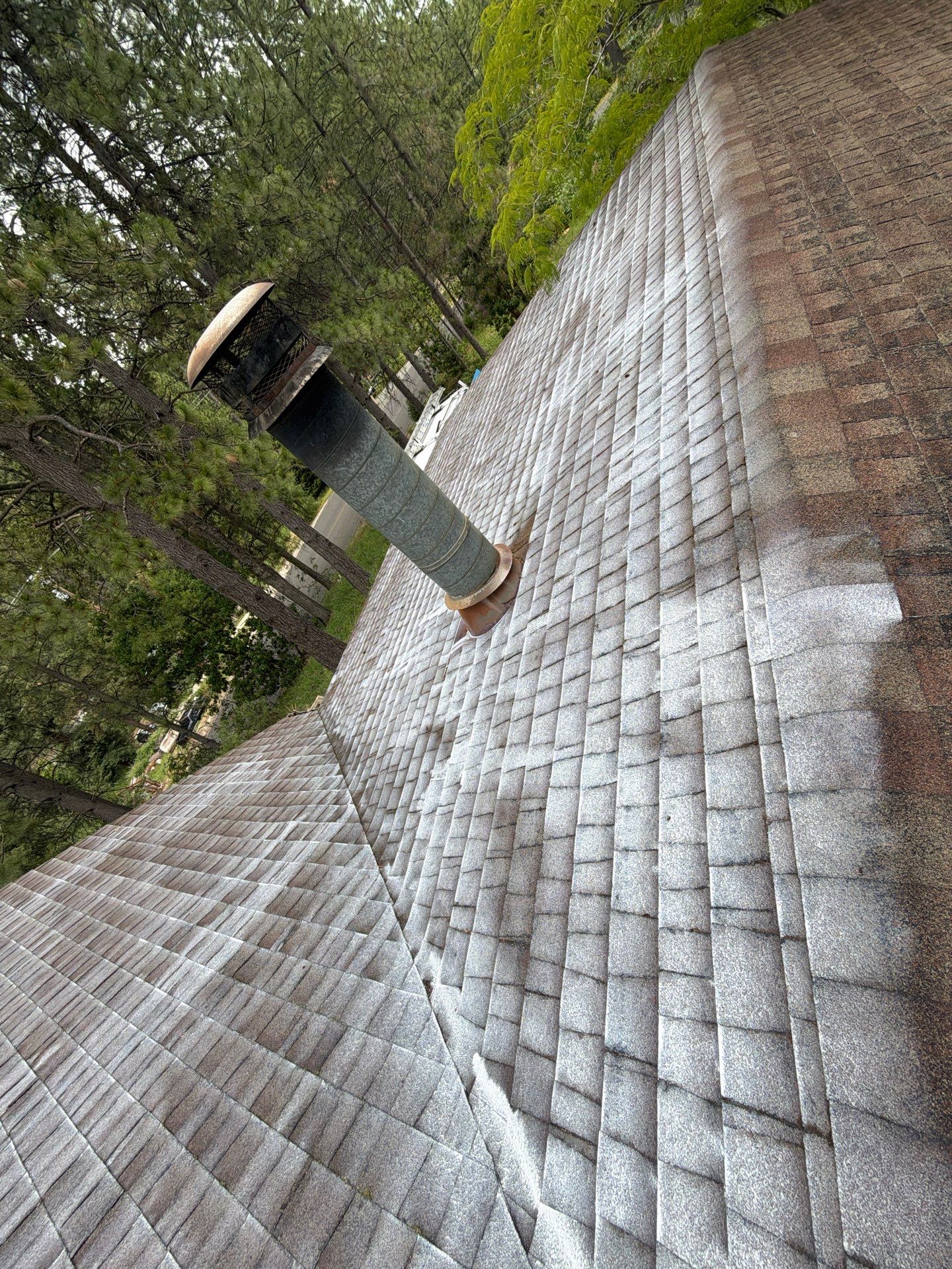 Roof Rejuvenation using Roof Maxx Treatment by Roof Maxx of Folsom