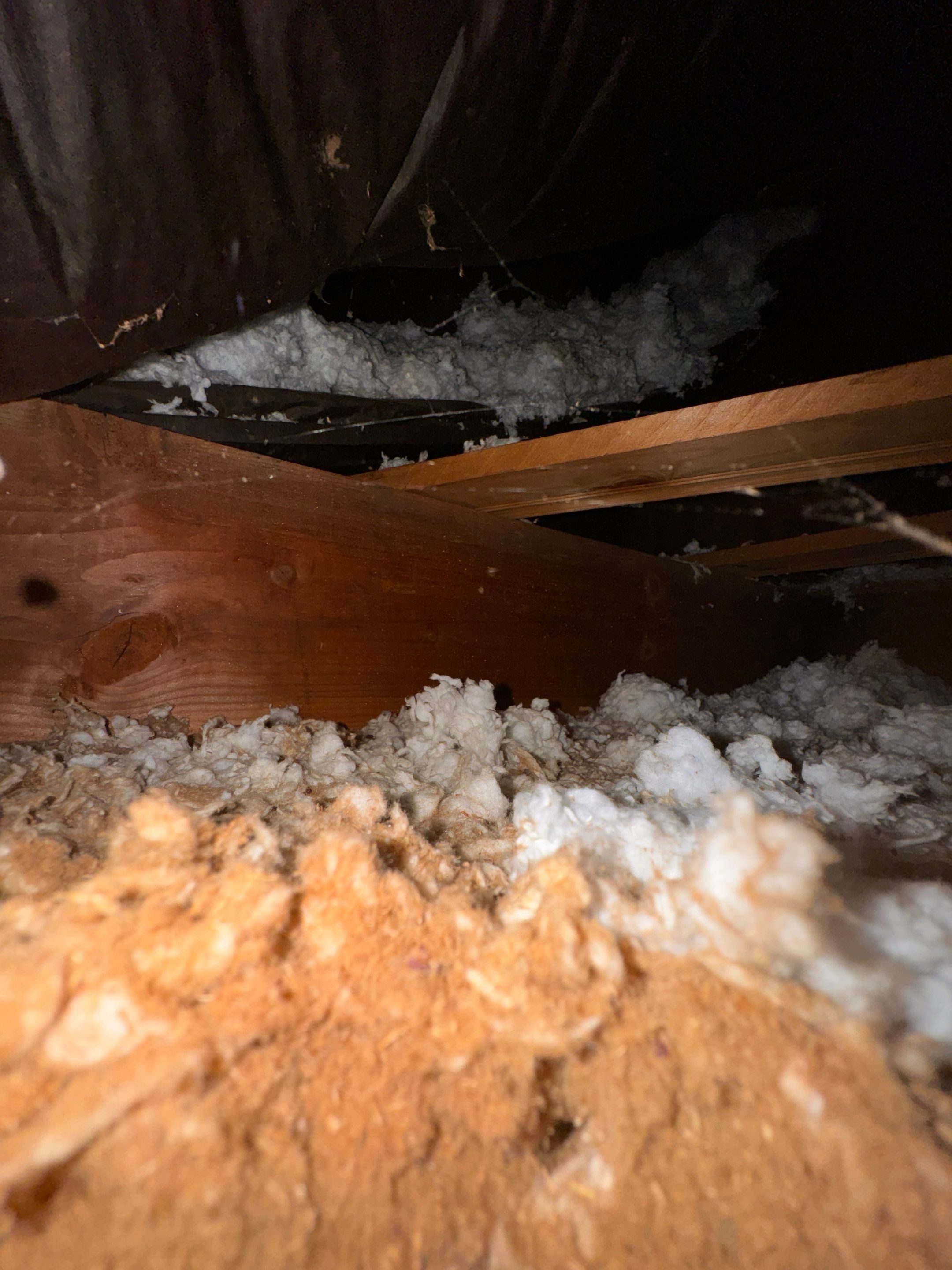 Bedroom Mold Remediation by Home Guarantee, LLC