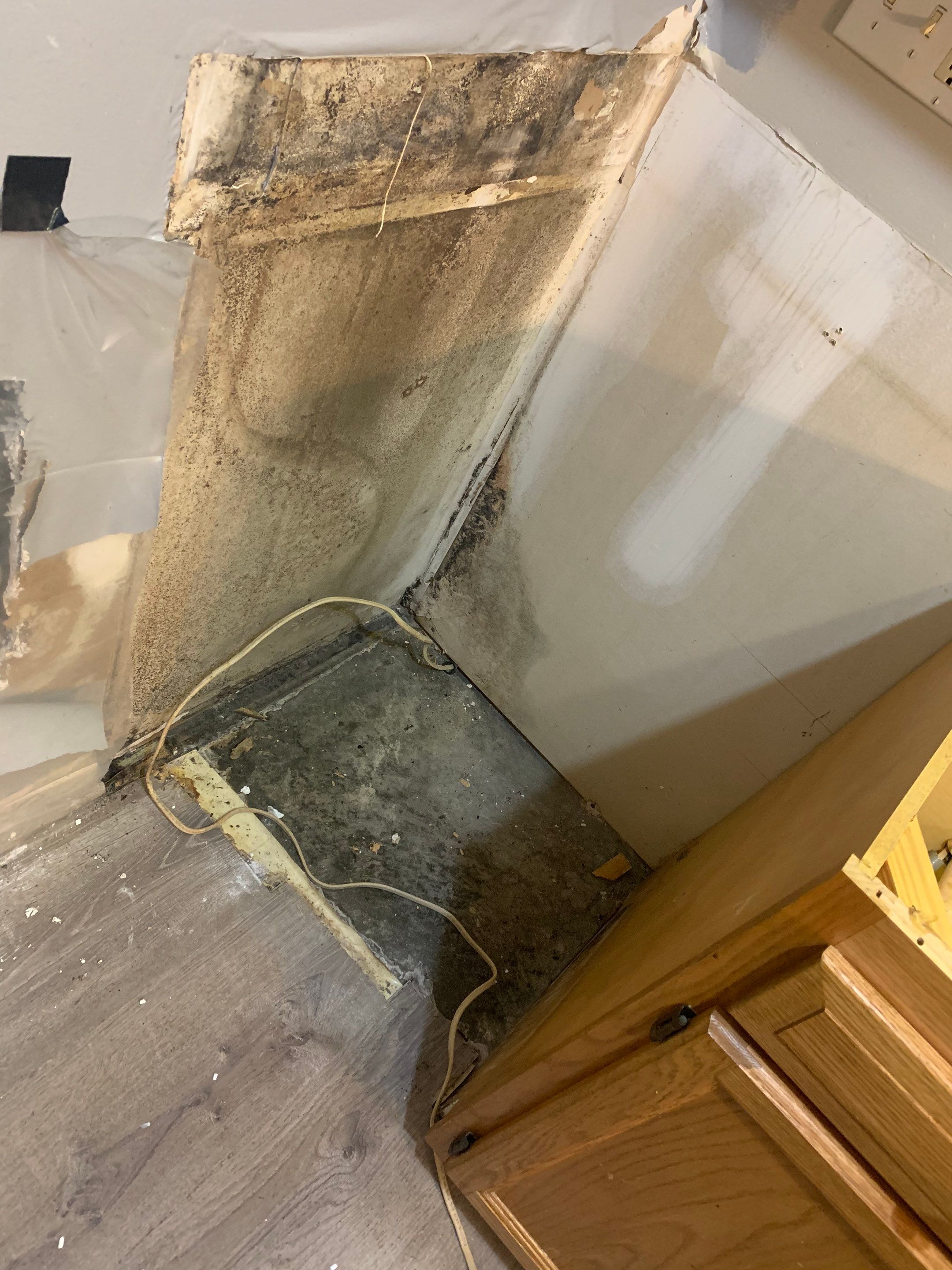 Interior Mold Remediation in Kitchen by ANR Restoration