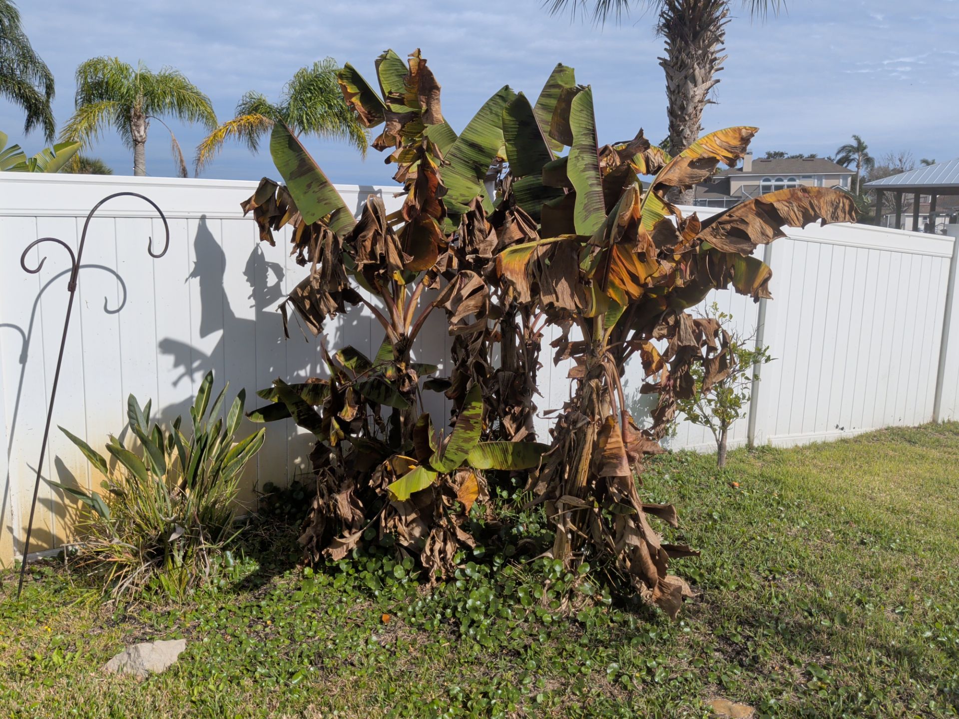 Flower Bed & Property Cleanup San Pablo area — Jacksonville Beaches, FL by Harmoni Home Services