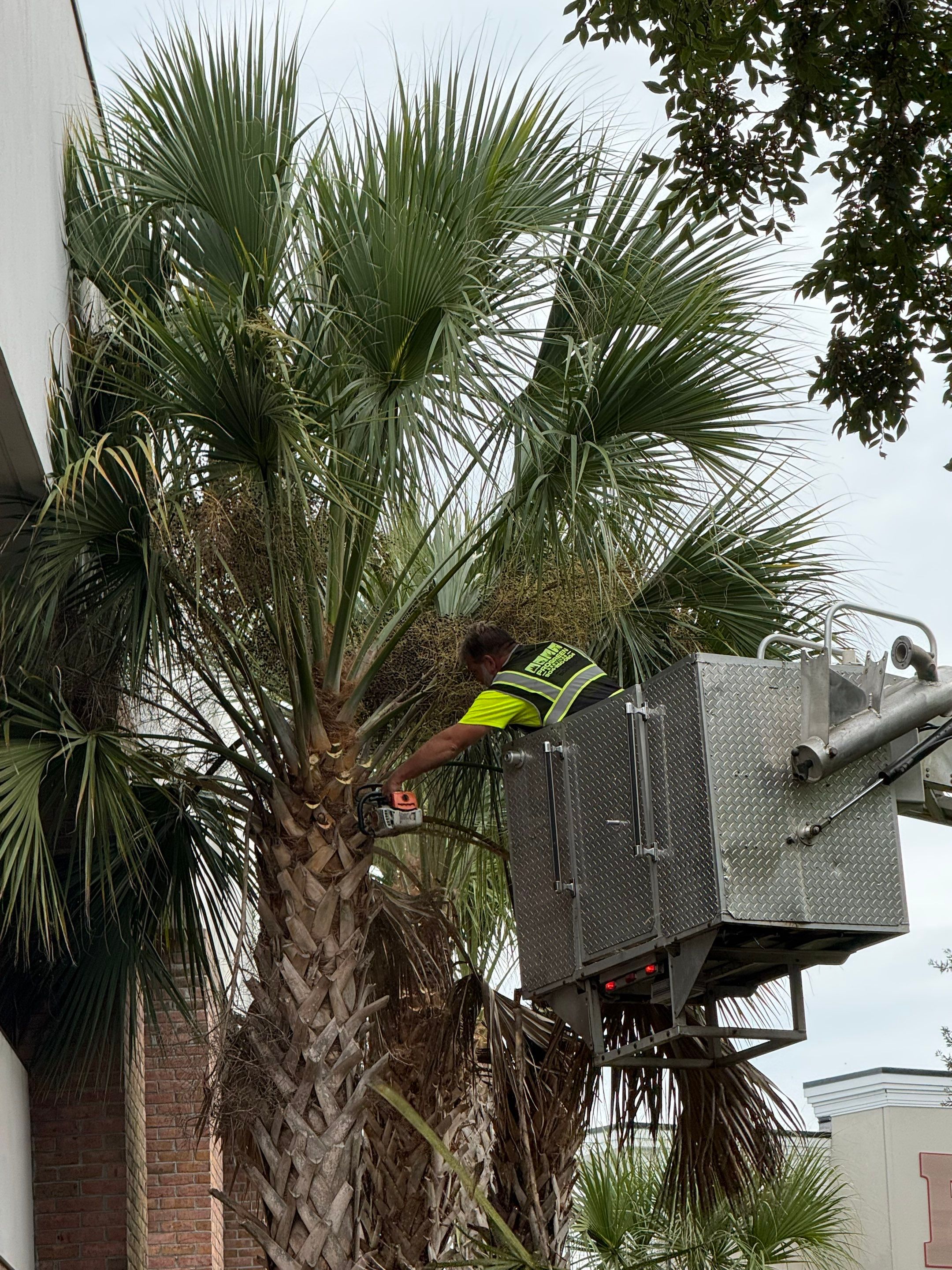 Volunteer Work | Episcopal High School of Jacksonville by ProGreen Services