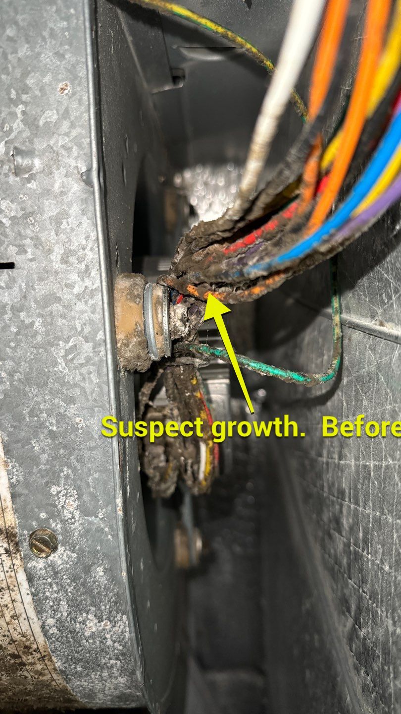 Air Duct Cleaning in Tavares by Hygienic Air, Inc
