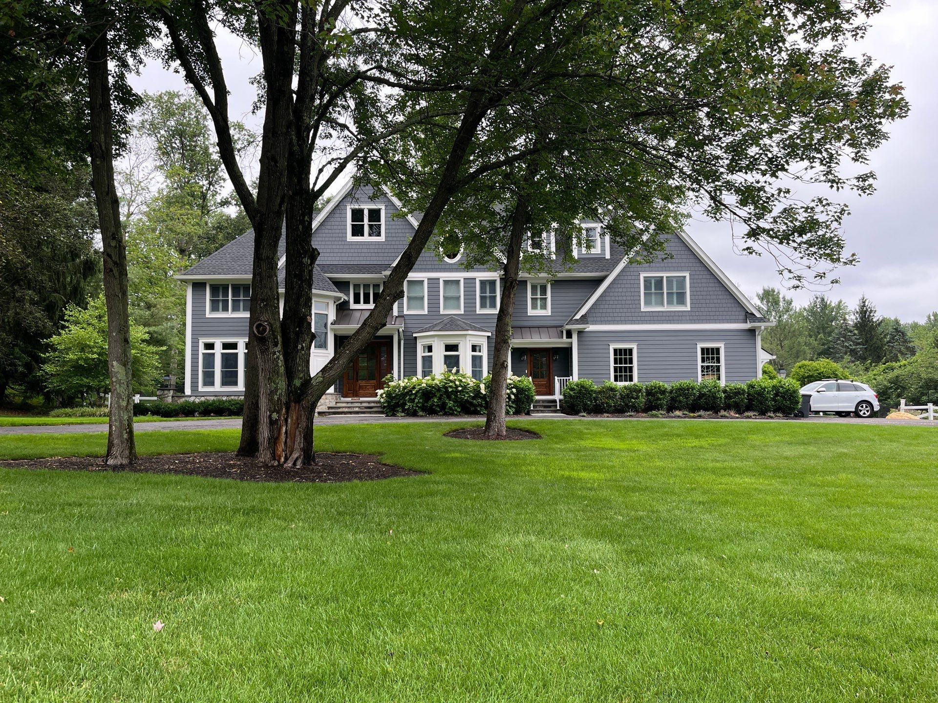 Comprehensive Lawn Care in Warren by Ants Plants