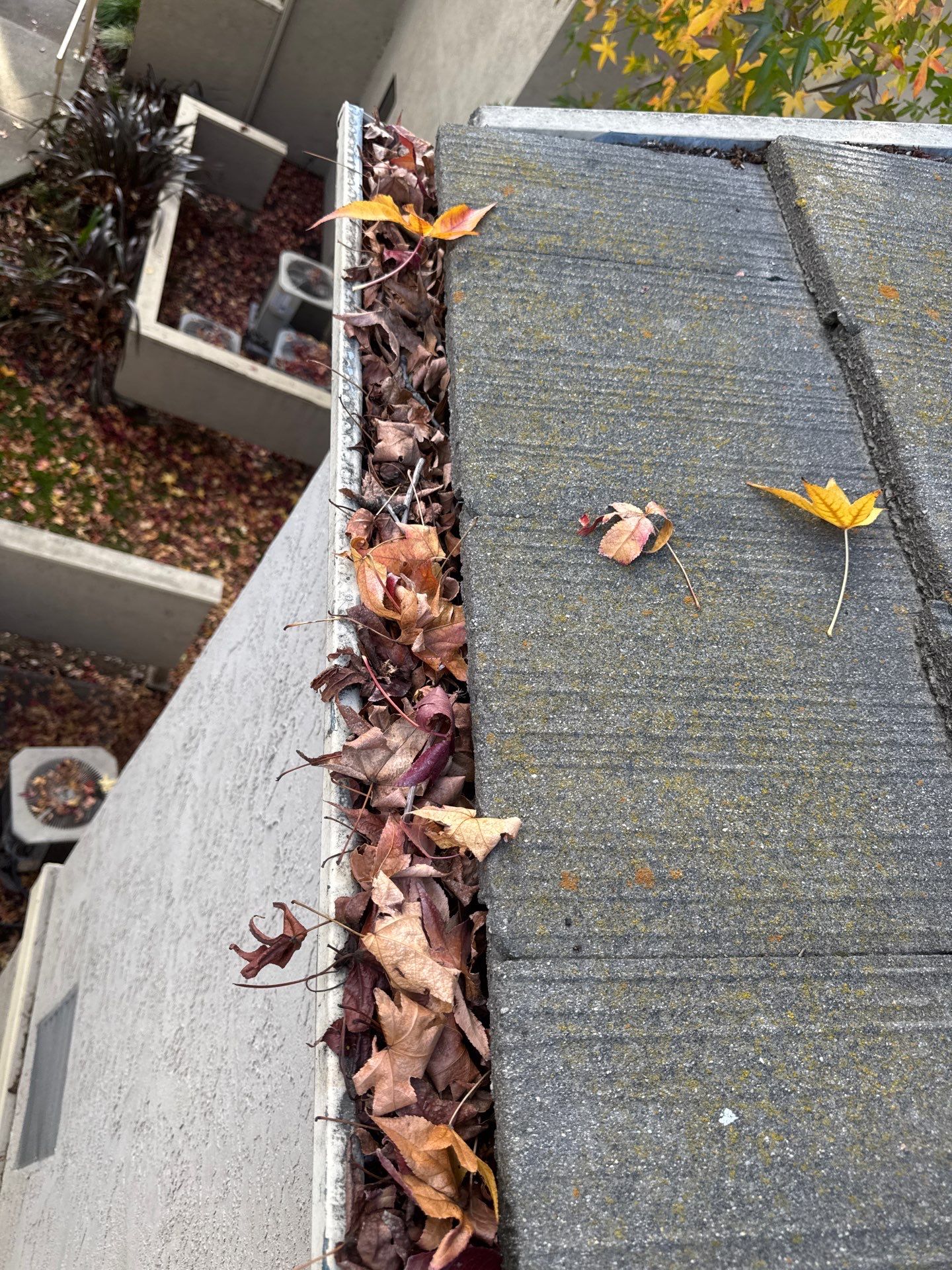 HOA gutter cleaning before