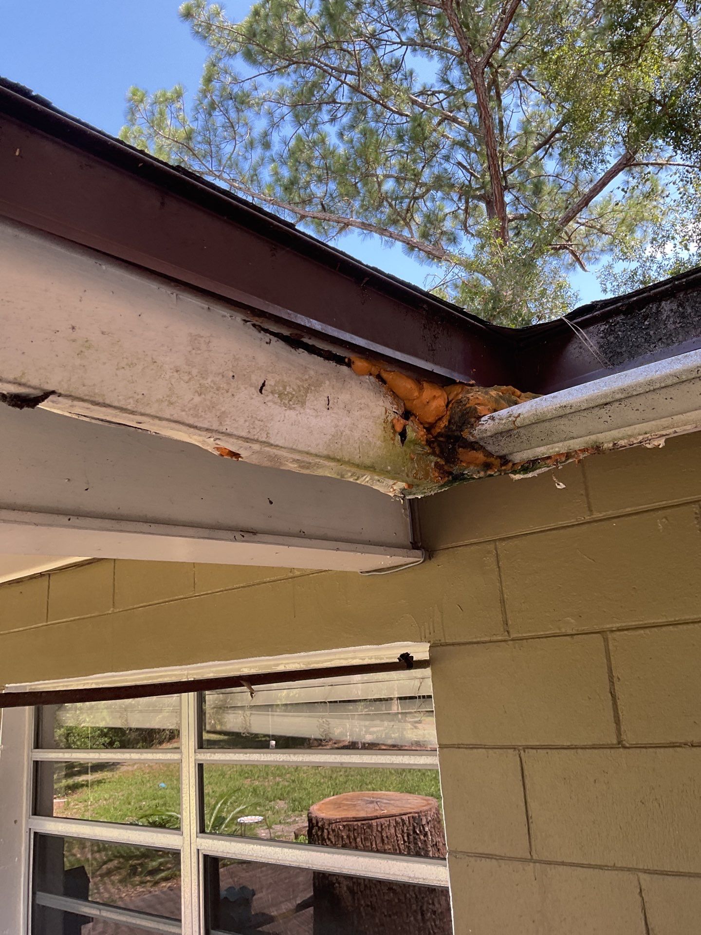Sorrento Residential Fascia Repair and Soffit Wood Rot Restoration by Fortified Roofing Solutions Corp.