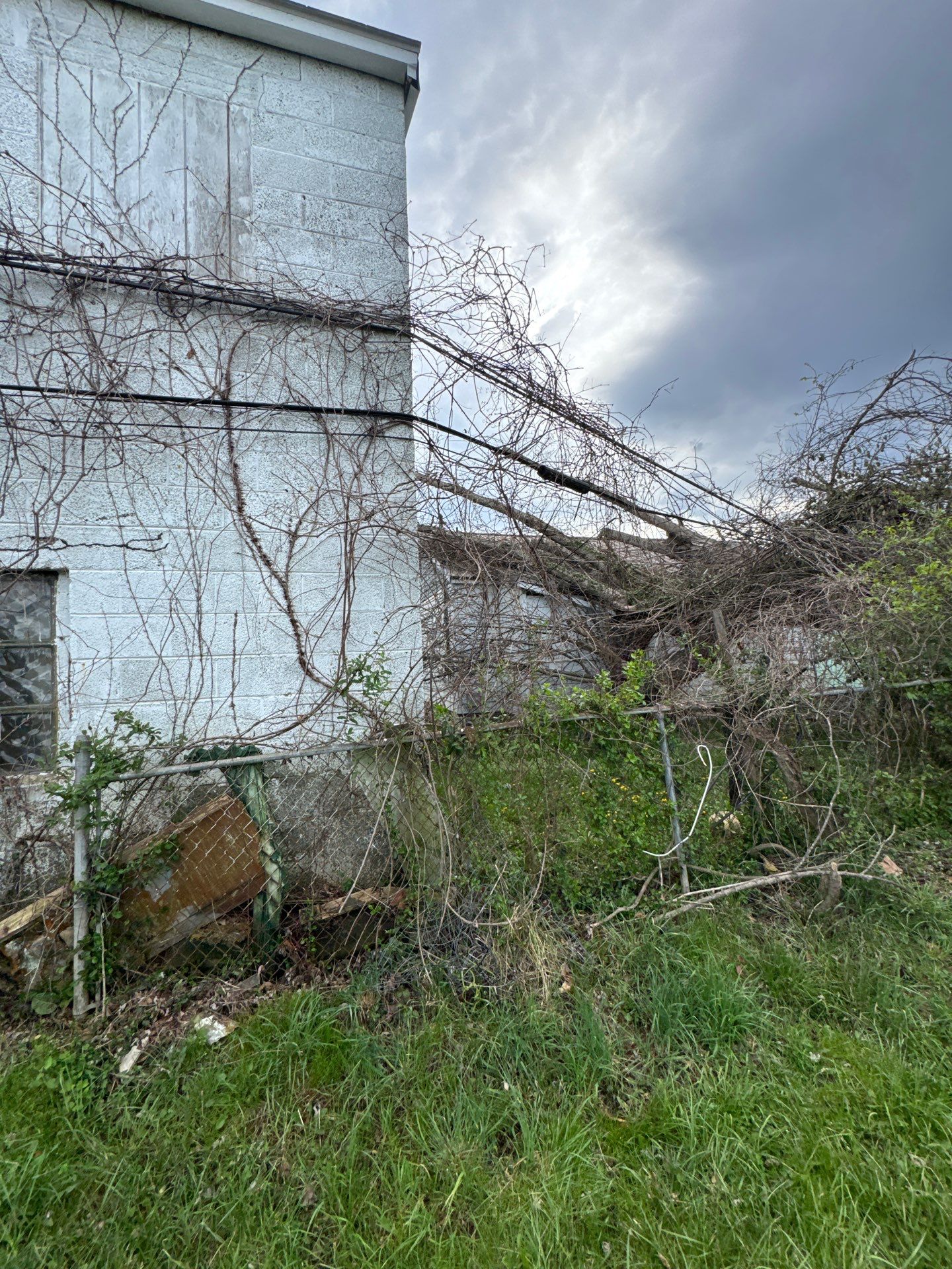 Project in Nitro, WV 	Rotator Crane Lifts Tree Off House | Nitro WV 	•	One Wrong Move Job | Rotator Crane Tree Removal 	•	Heavy Rescue Tree Job | Nitro WV 	•	Extreme Tree Removal Over Home | Nitro WV by Jones Empire LLC