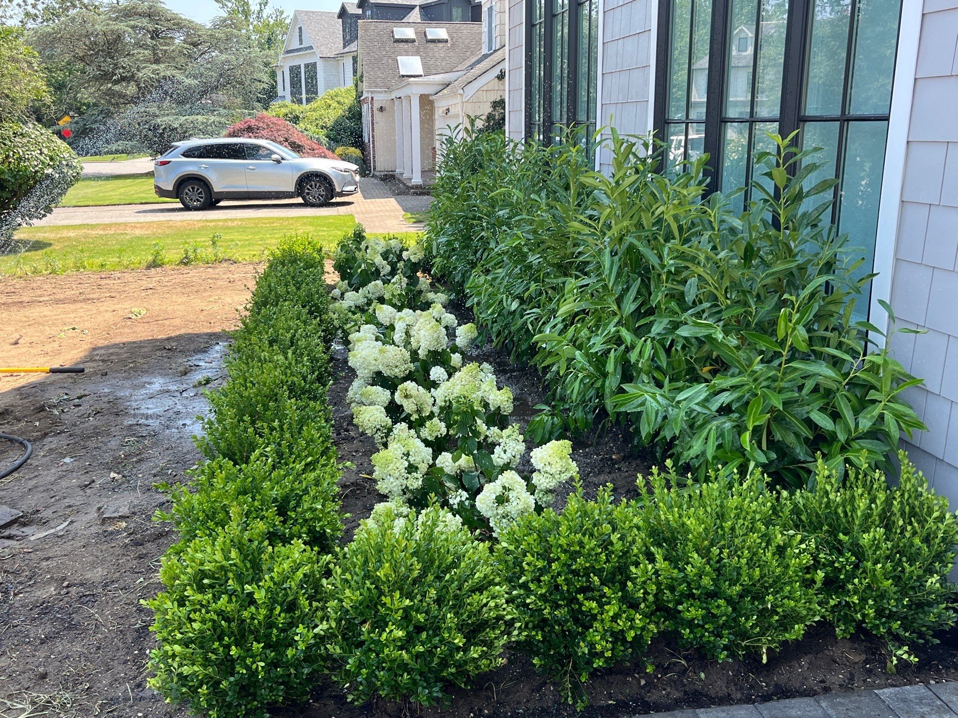 New Install by elegant Lawns