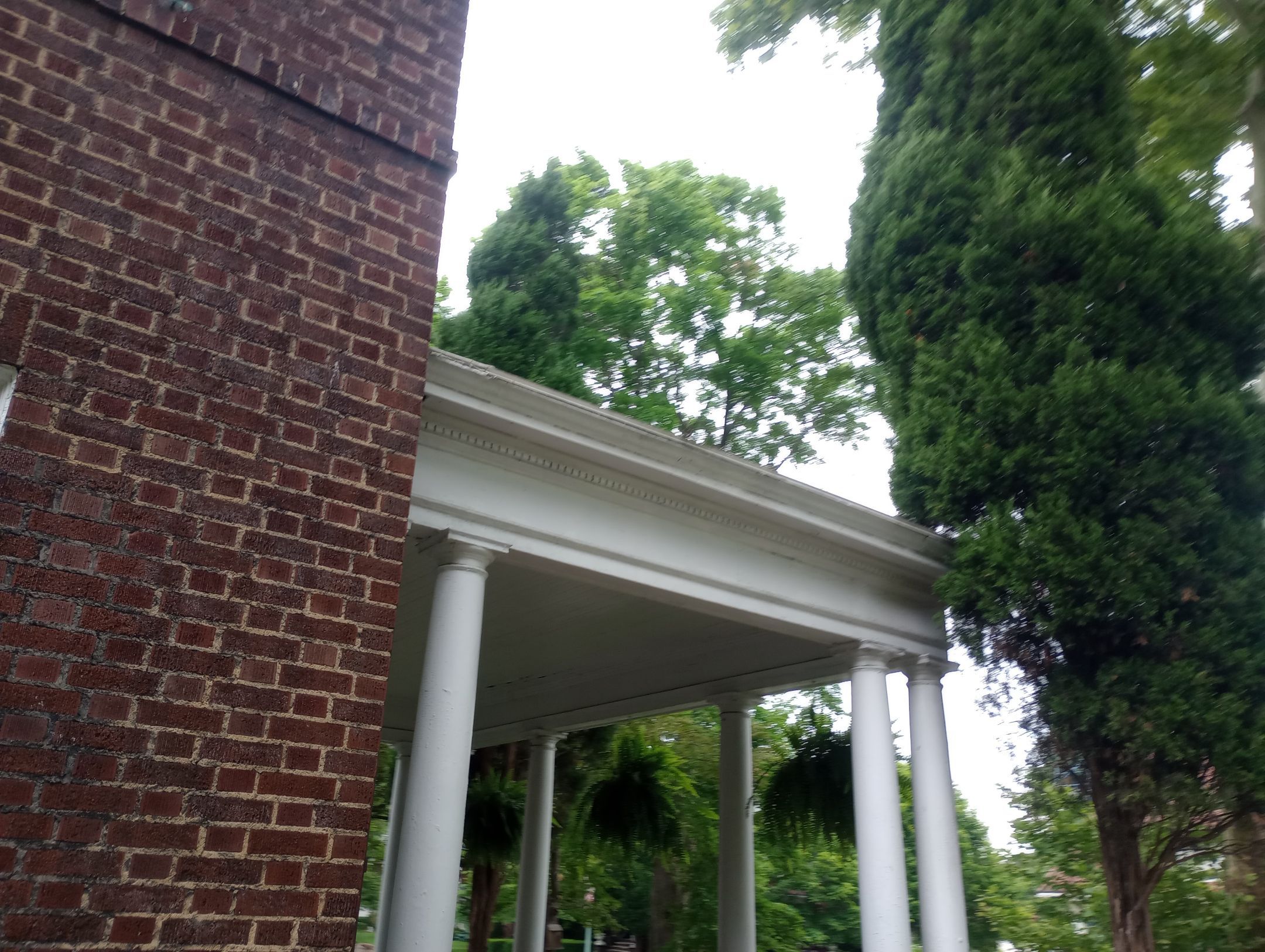 Candice Davis by Silver Leaf Contracting 
